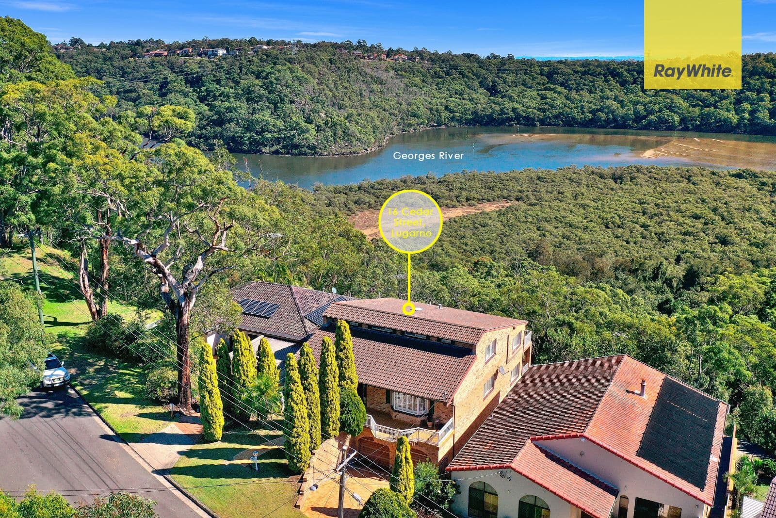 16 Cedar Street, Lugarno NSW 2210, Lugarno - Thumbnail 5