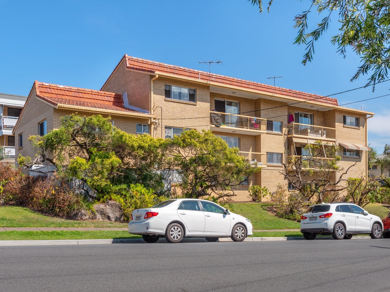 41 Amelia Street, Coorparoo QLD 4151, Coorparoo - Image 1