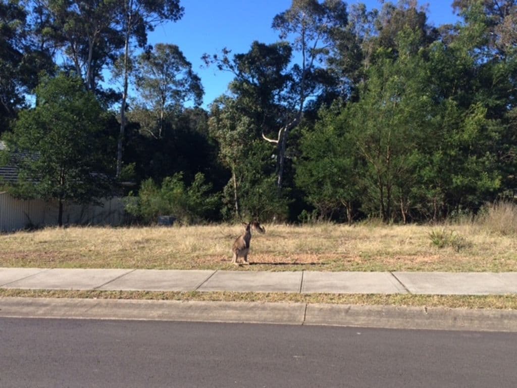 29 Courtenay Crescent, Long Beach NSW 2536, Long Beach - Thumbnail 2