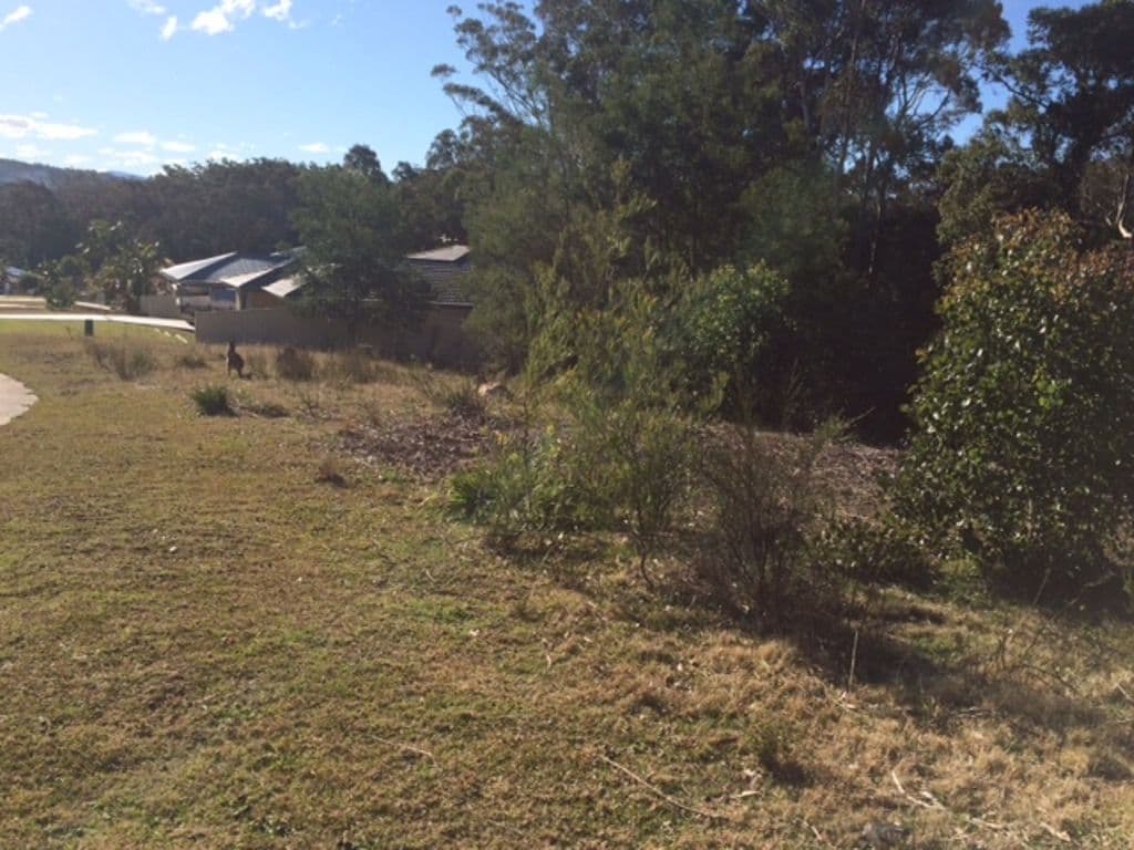 29 Courtenay Crescent, Long Beach NSW 2536, Long Beach - Thumbnail 5