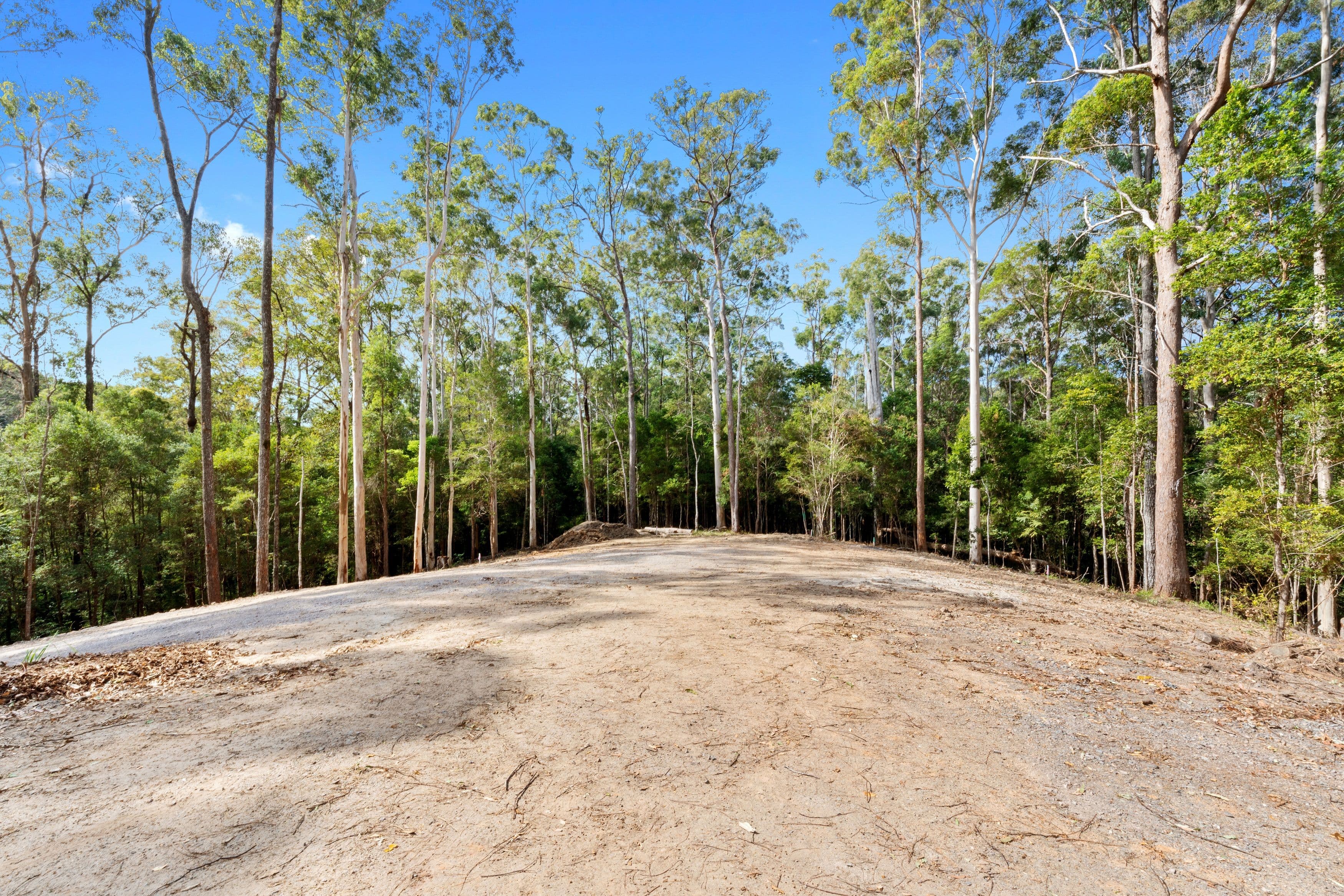 32 Palana Court, Buderim QLD 4556, Buderim - Thumbnail 4