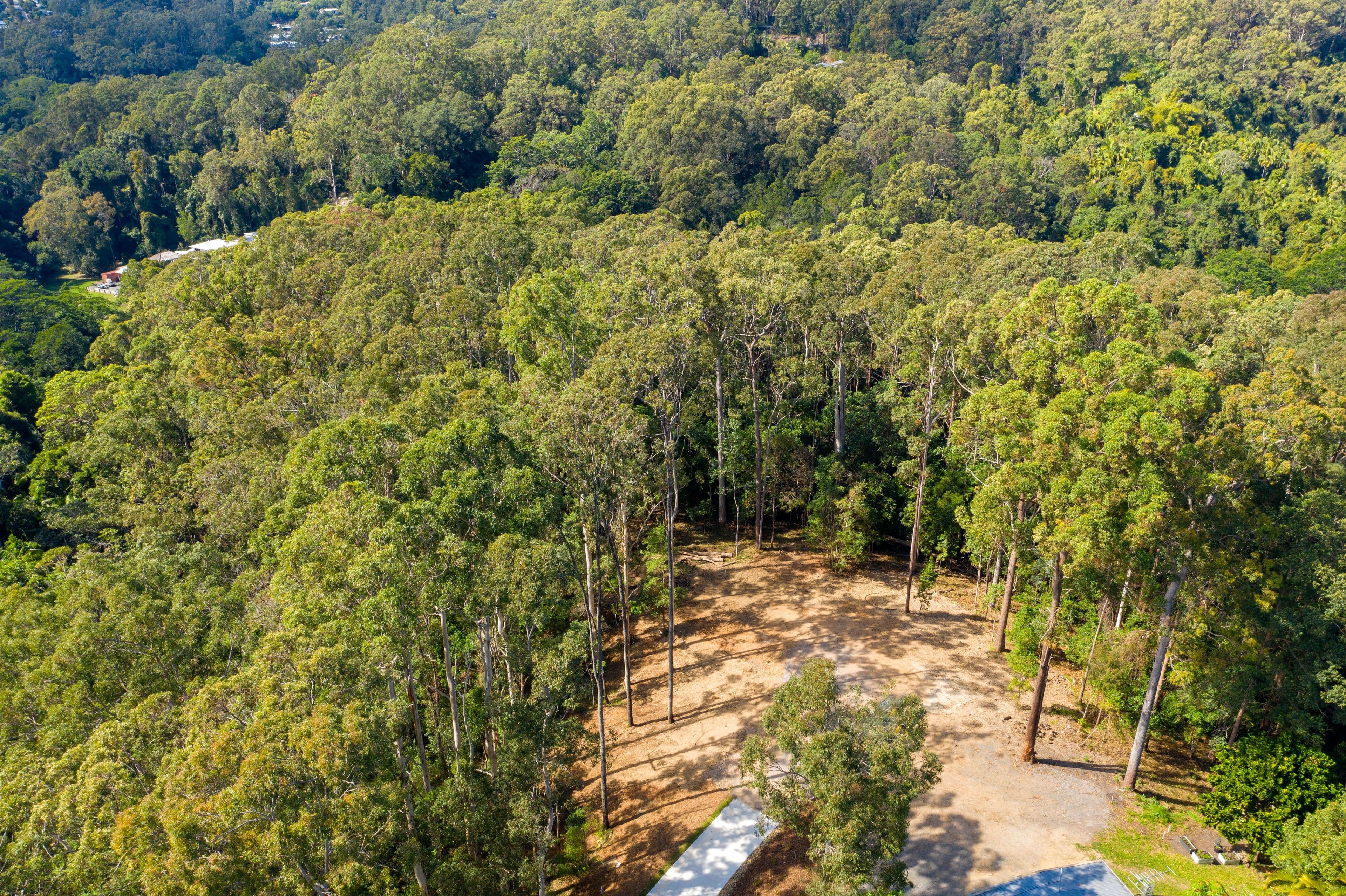 32 Palana Court, Buderim QLD 4556, Buderim - Thumbnail 6