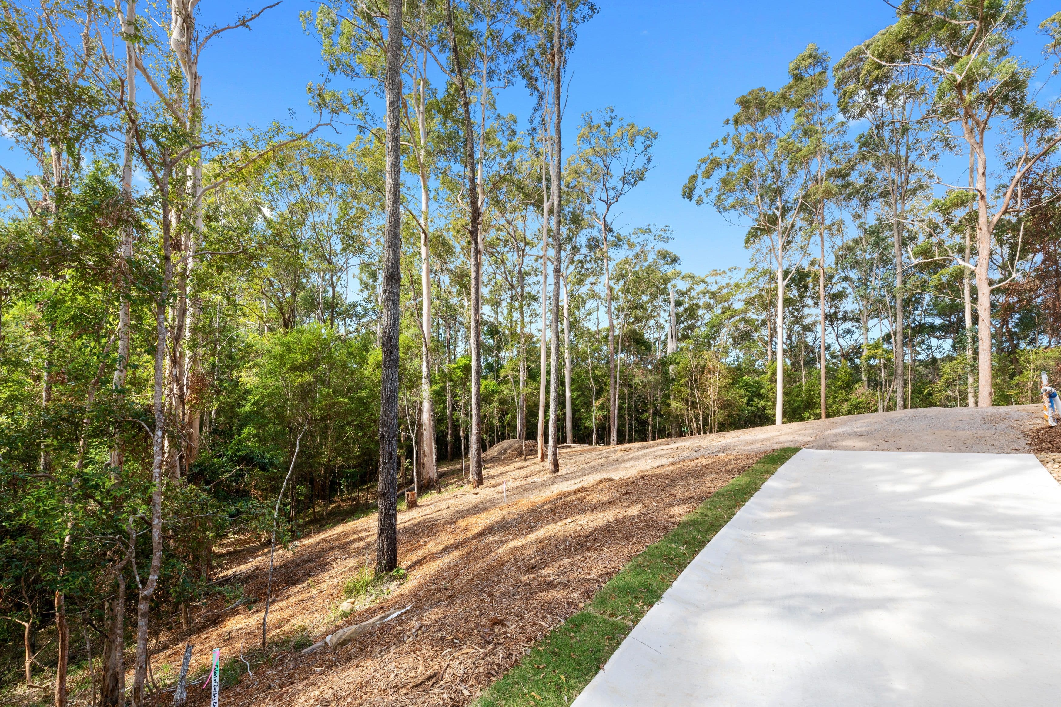 32 Palana Court, Buderim QLD 4556, Buderim - Thumbnail 7