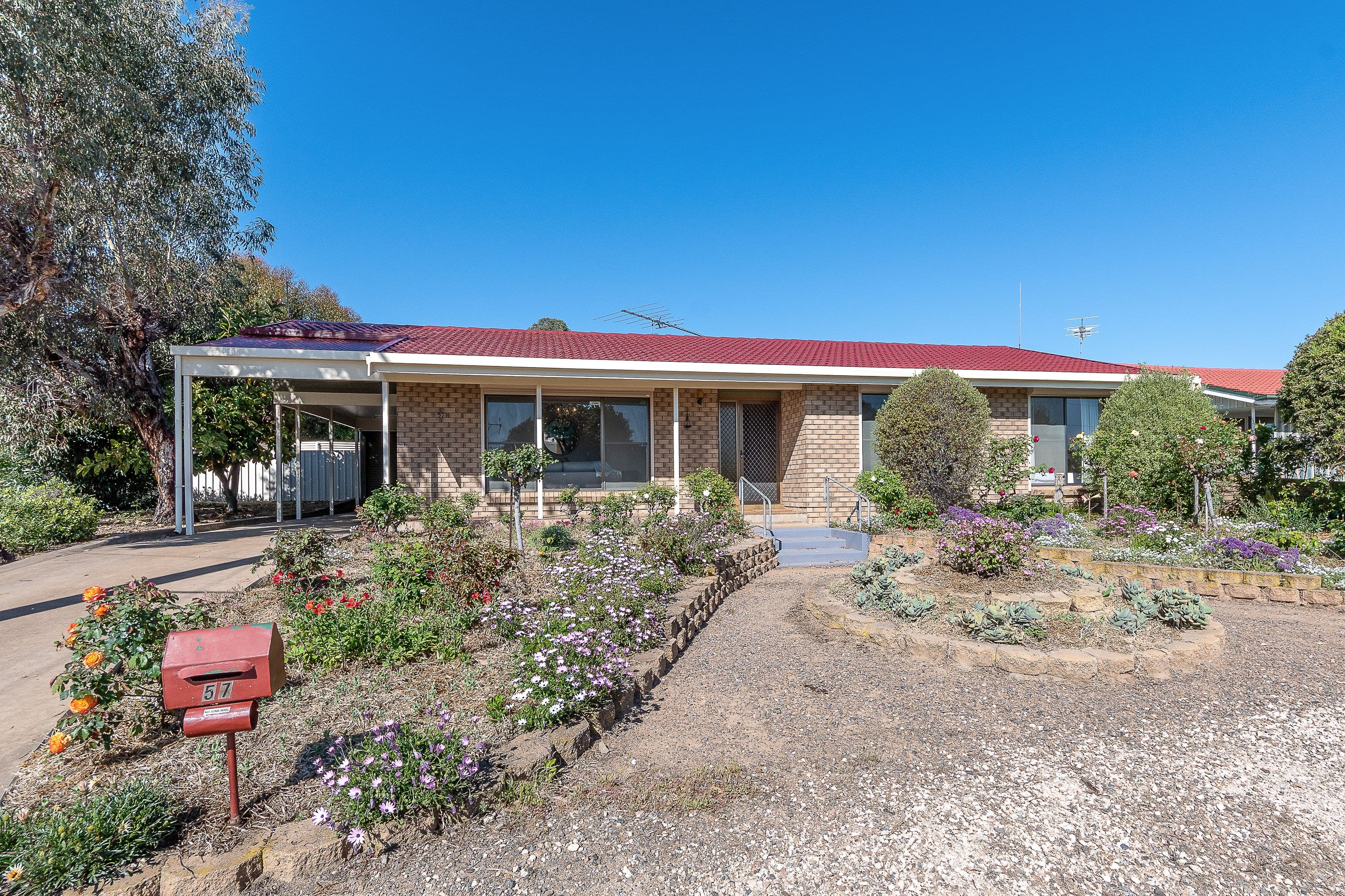 57 Leslie Street, Murray Bridge SA 5253, Murray Bridge - Image 1