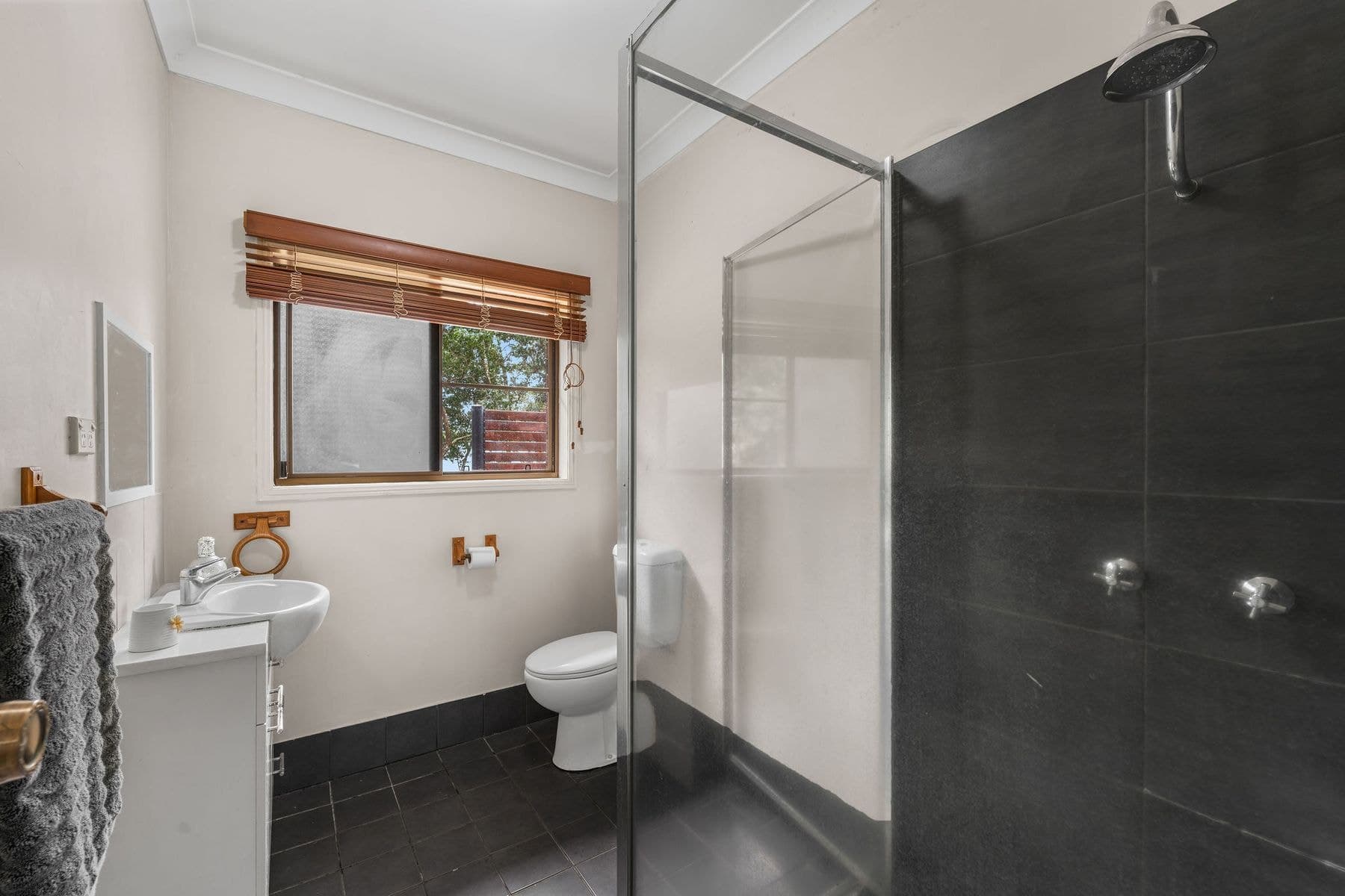 19 Newman Drive, Tolga QLD 4882, Tolga - Thumbnail 8