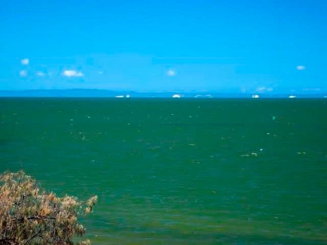 46 Prince Edward Parade, REDCLIFFE QLD 4020, Redcliffe - Thumbnail 2