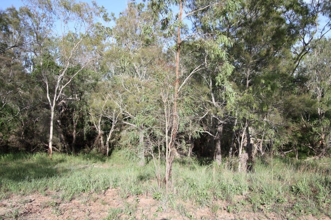 13 Maclyn Aveune, Glenlee QLD 4711, Glenlee - Thumbnail 4