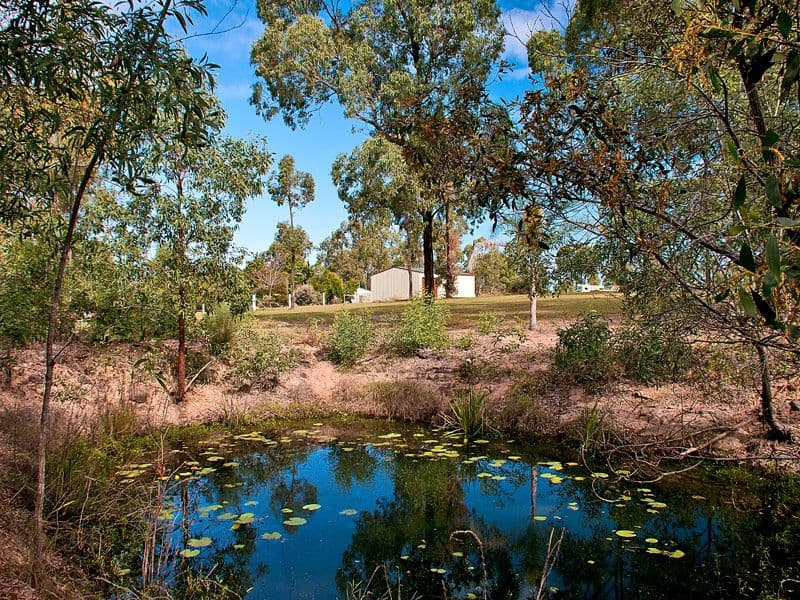 30-40 Dennis Road, Cedar Vale QLD 4285, Cedar Vale - Thumbnail 2