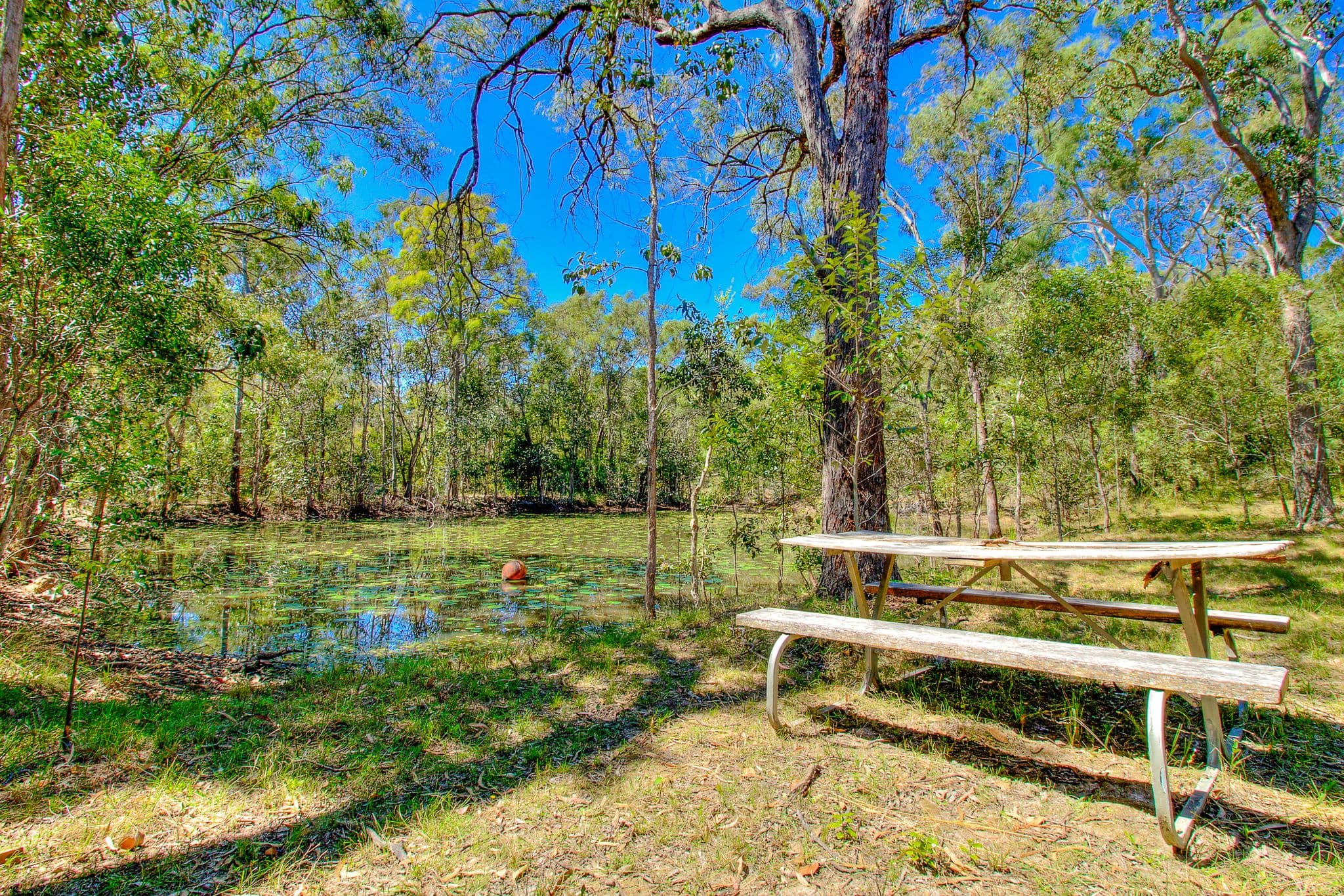 301 Innamincka Way, Agnes Water QLD 4677, Agnes Water - Thumbnail 7