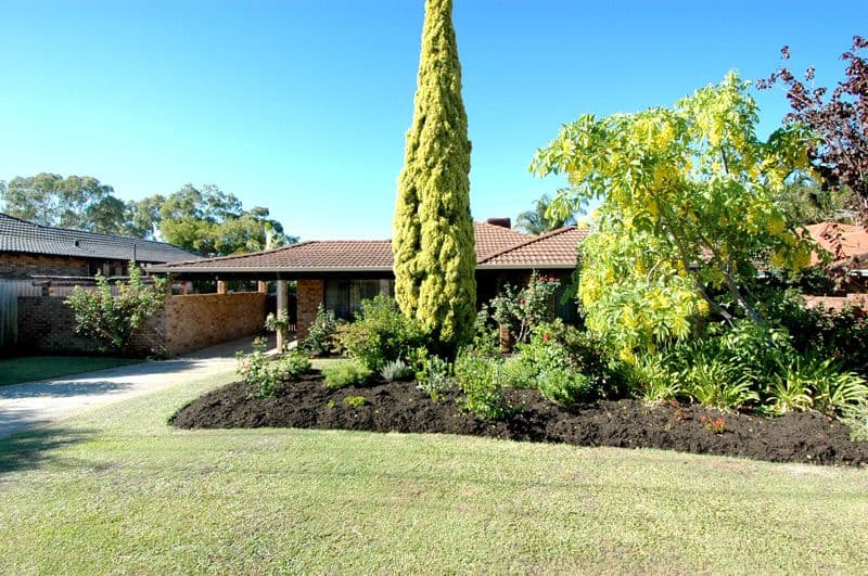 12 Dartford Street, BULL CREEK WA 6149, Bull Creek - Thumbnail 6