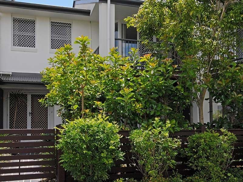 83 The Avenue (Millbrook Estate), HENDRA QLD 4011, Hendra - Image 1