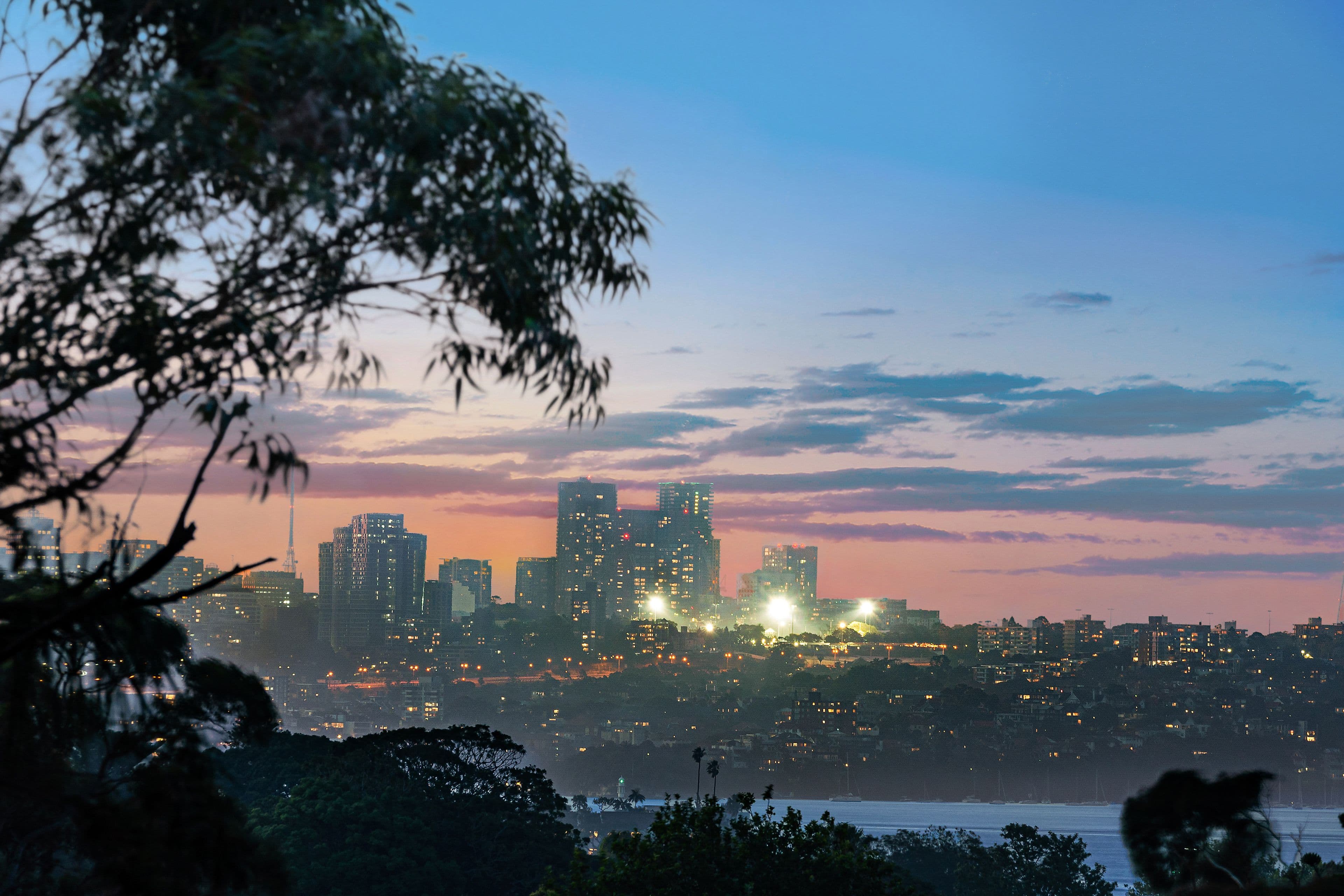 70 Chaleyer Street, Rose Bay NSW 2029, Rose Bay - Thumbnail 6