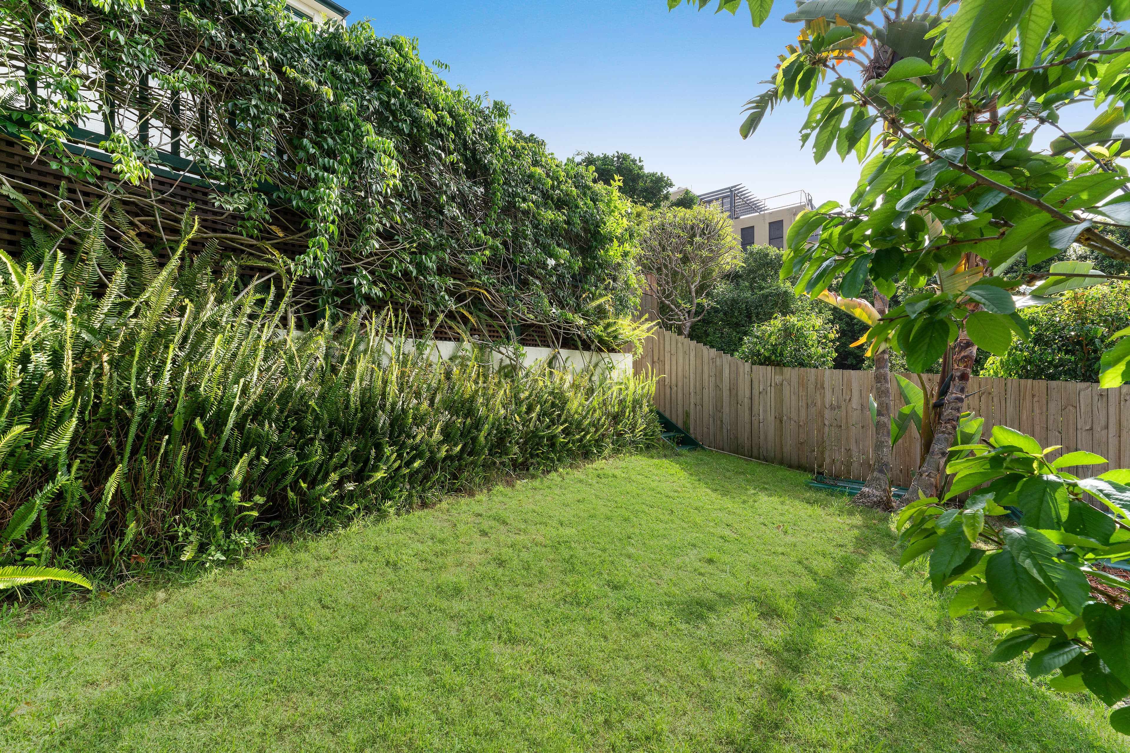70 Chaleyer Street, Rose Bay NSW 2029, Rose Bay - Thumbnail 8