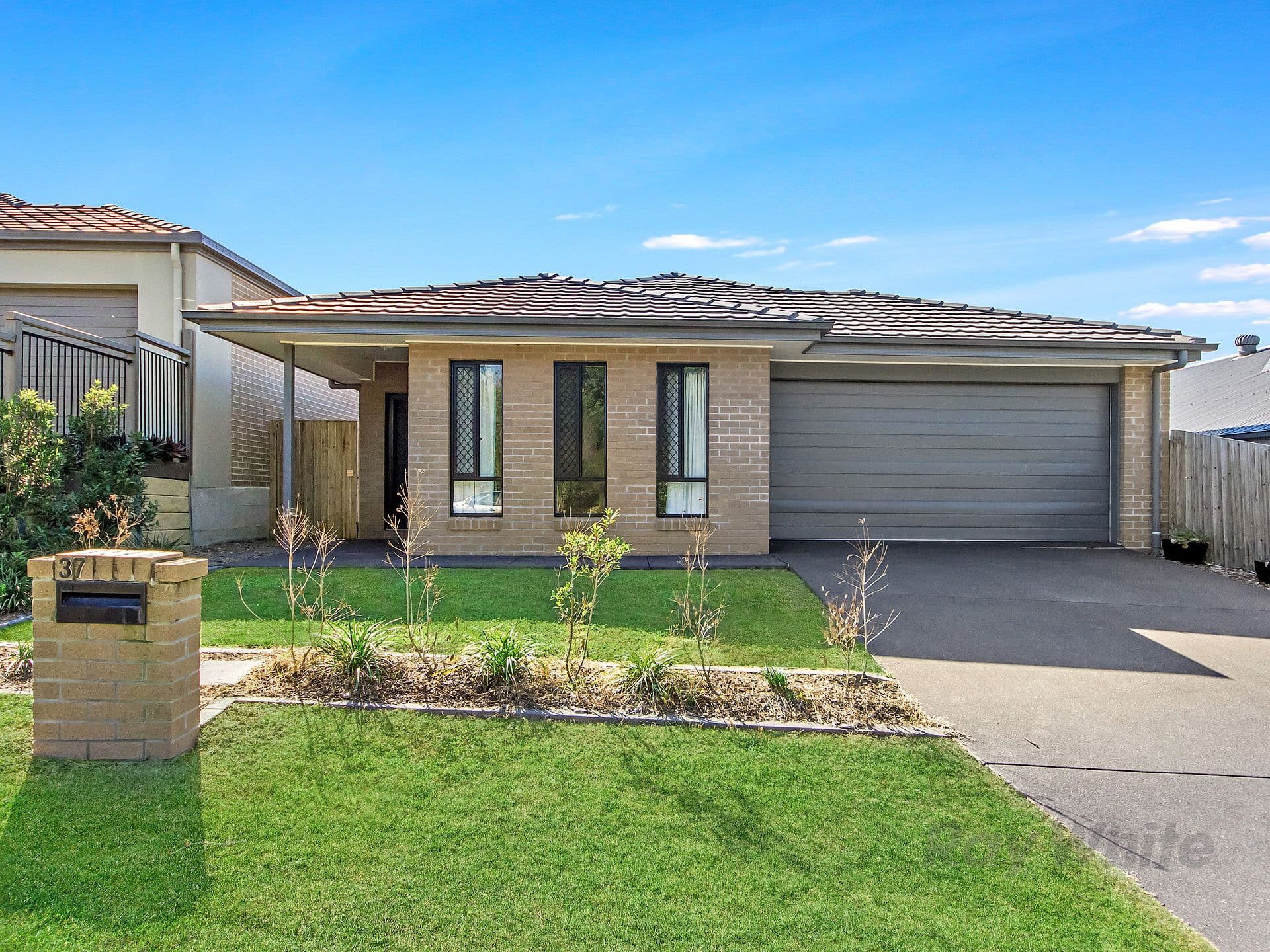 37 Wollombi Avenue, Ormeau Hills QLD 4208, Ormeau Hills - Image 1