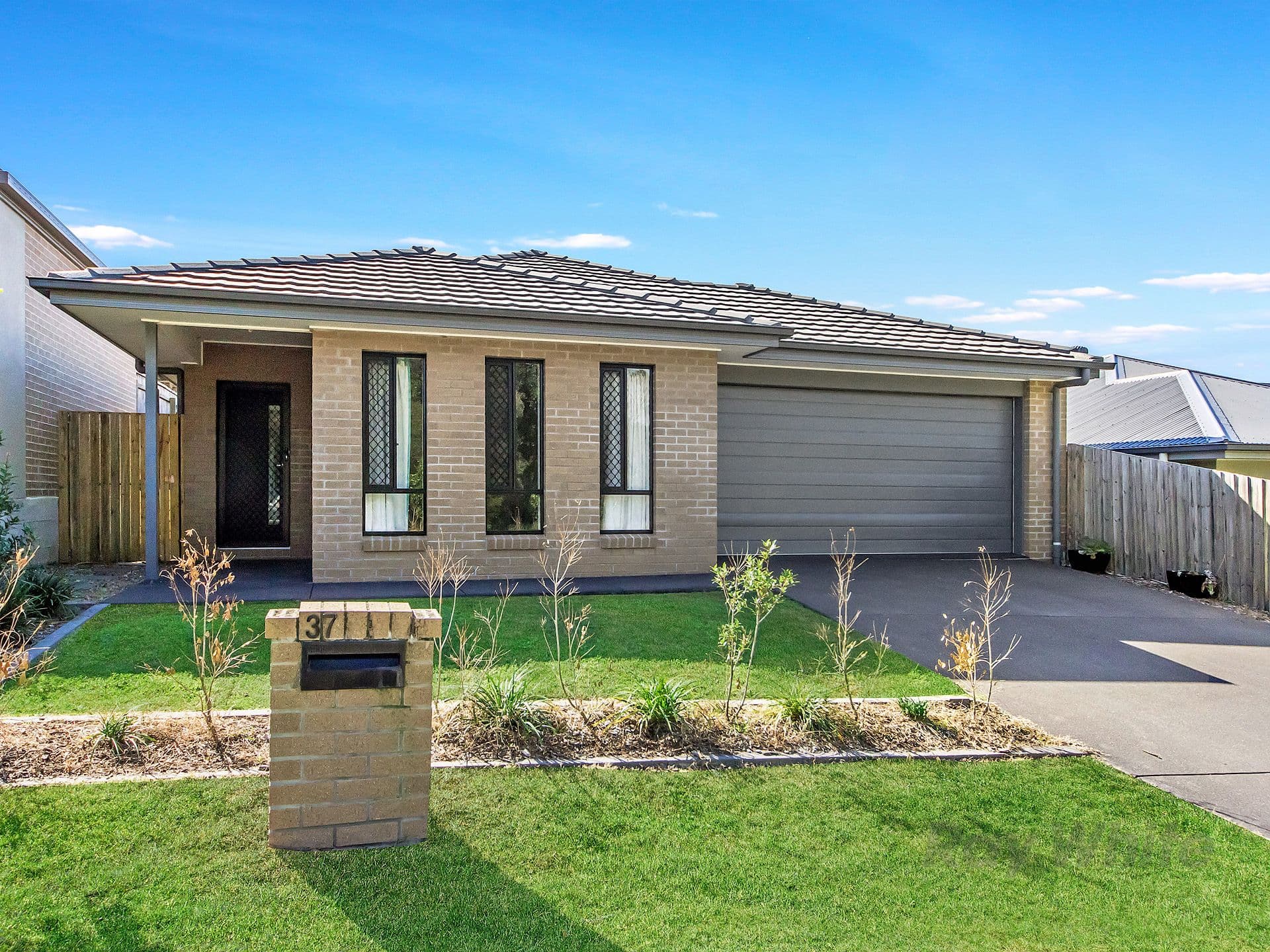 37 Wollombi Avenue, Ormeau Hills QLD 4208, Ormeau Hills - Thumbnail 2
