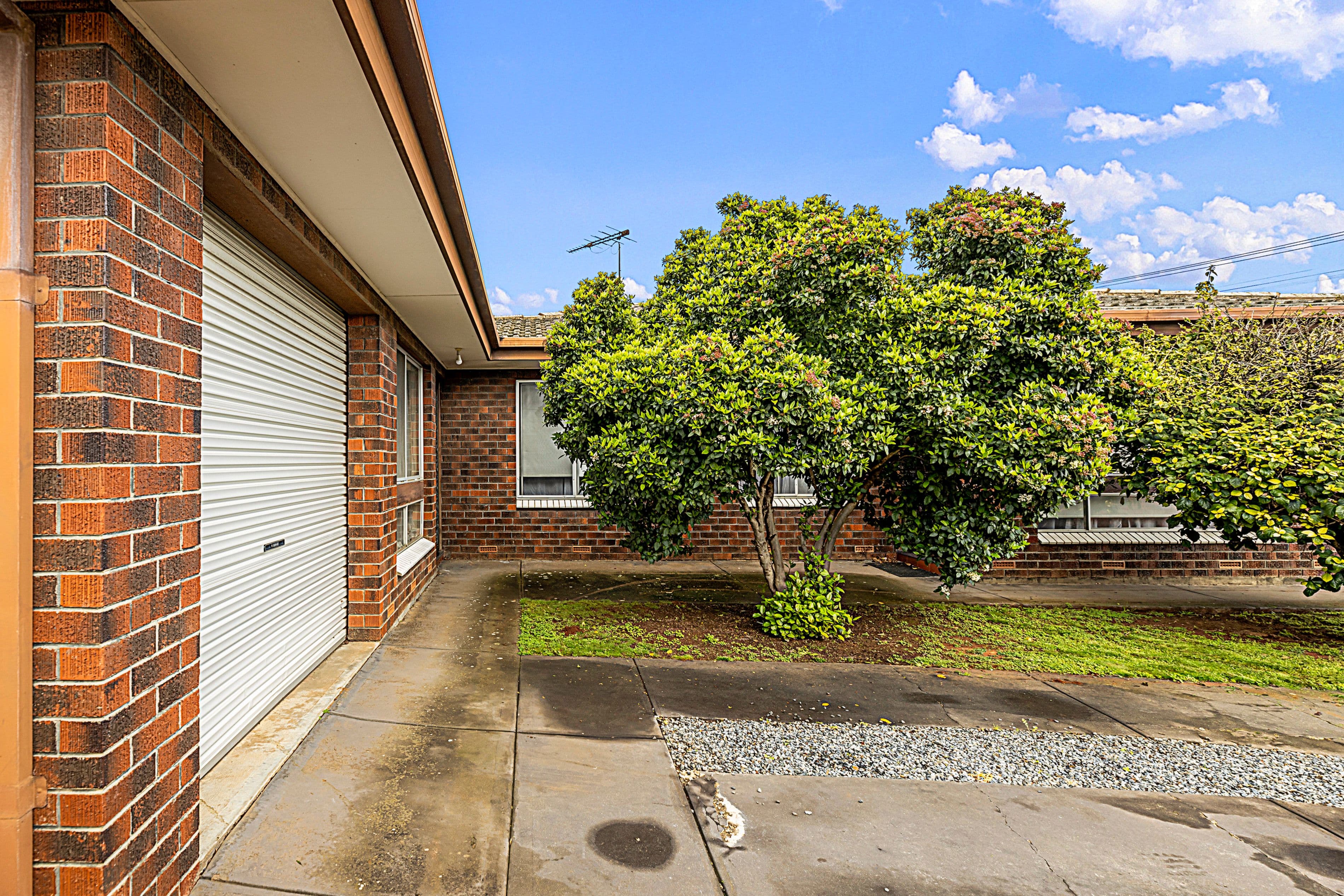 554 Lower North East Road, Campbelltown SA 5074, Campbelltown - Thumbnail 3