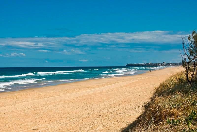 22 Satinbird Place, BOKARINA QLD 4575, Bokarina - Thumbnail 5