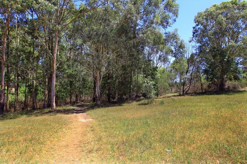 19 Queenborough Street, NOWRA NSW 2541, Nowra - Thumbnail 3