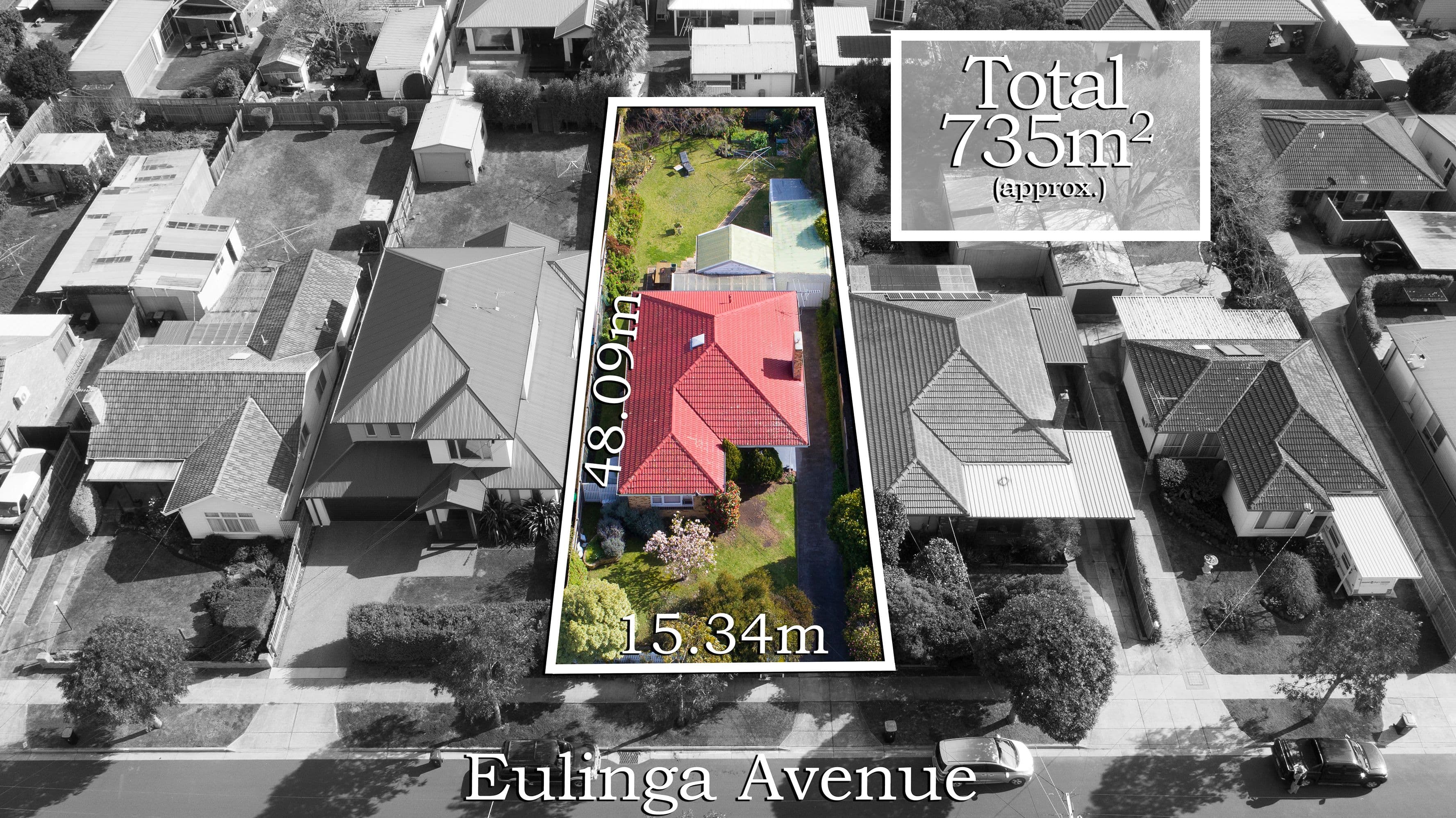 43 Eulinga Avenue, Aspendale VIC 3195, Aspendale - Image 1