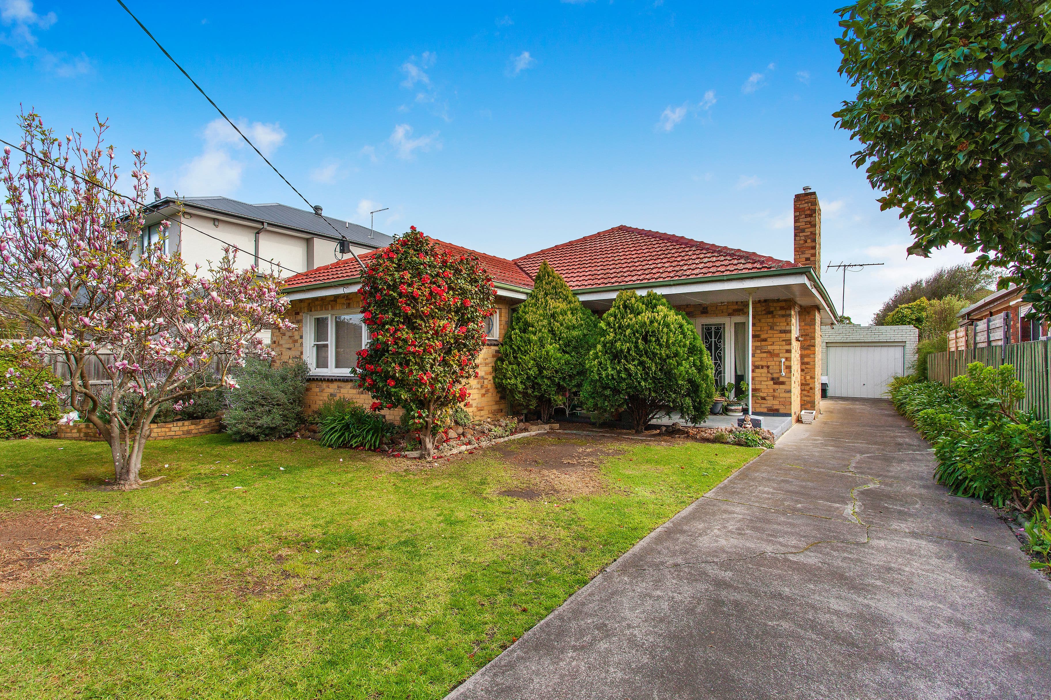 43 Eulinga Avenue, Aspendale VIC 3195, Aspendale - Thumbnail 3