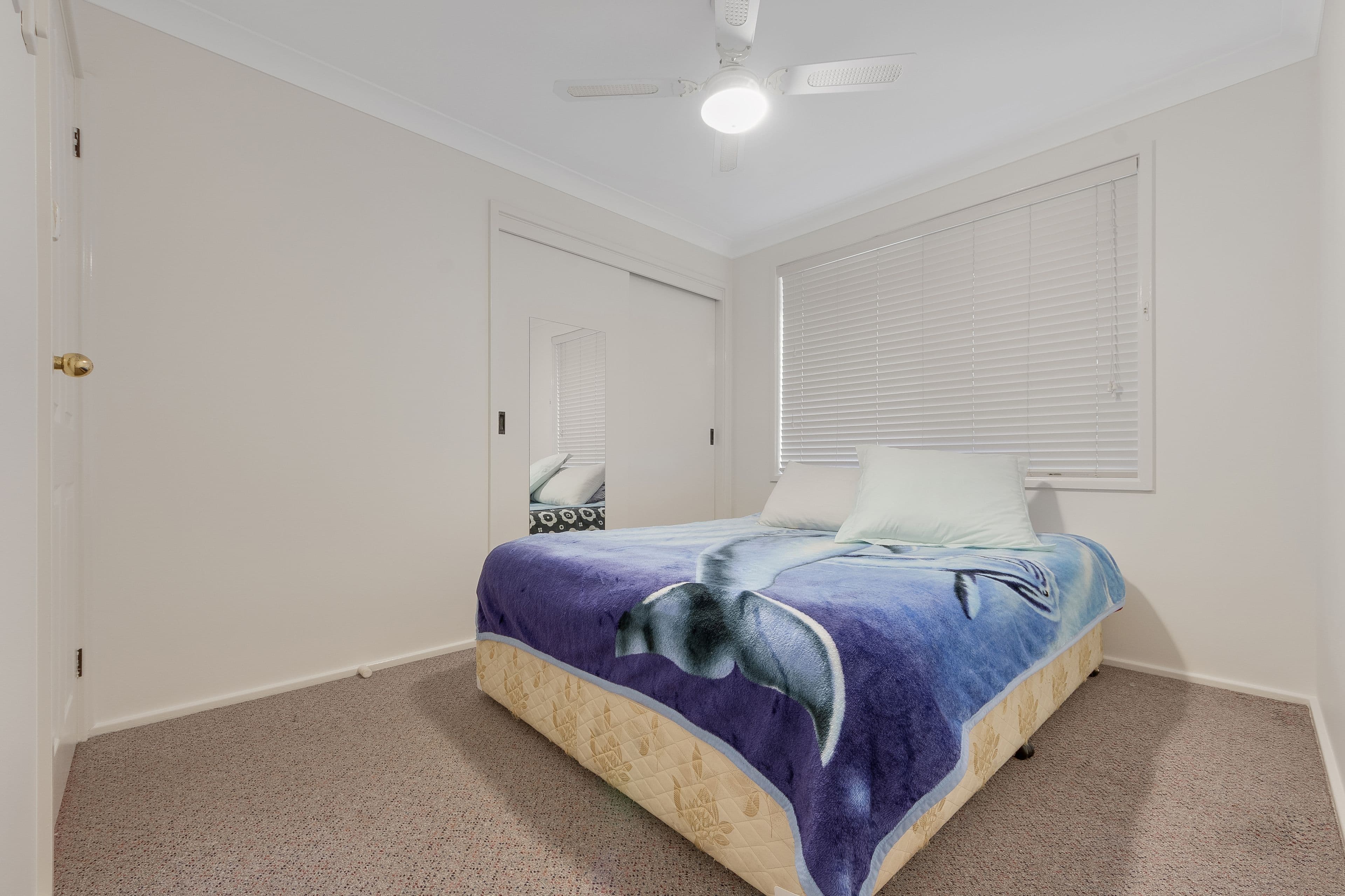 Minto NSW 2566, Minto - Thumbnail 6