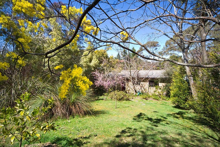 3 Bellevue Avenue, BLACKHEATH NSW 2785, Blackheath - Thumbnail 7
