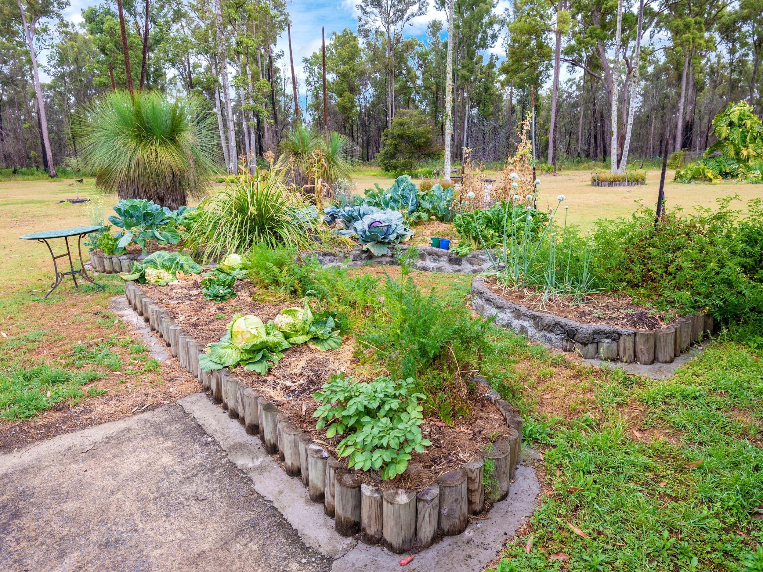 2465 Myall Creek Road, Bungawalbin NSW 2469, Bungawalbin - Thumbnail 4
