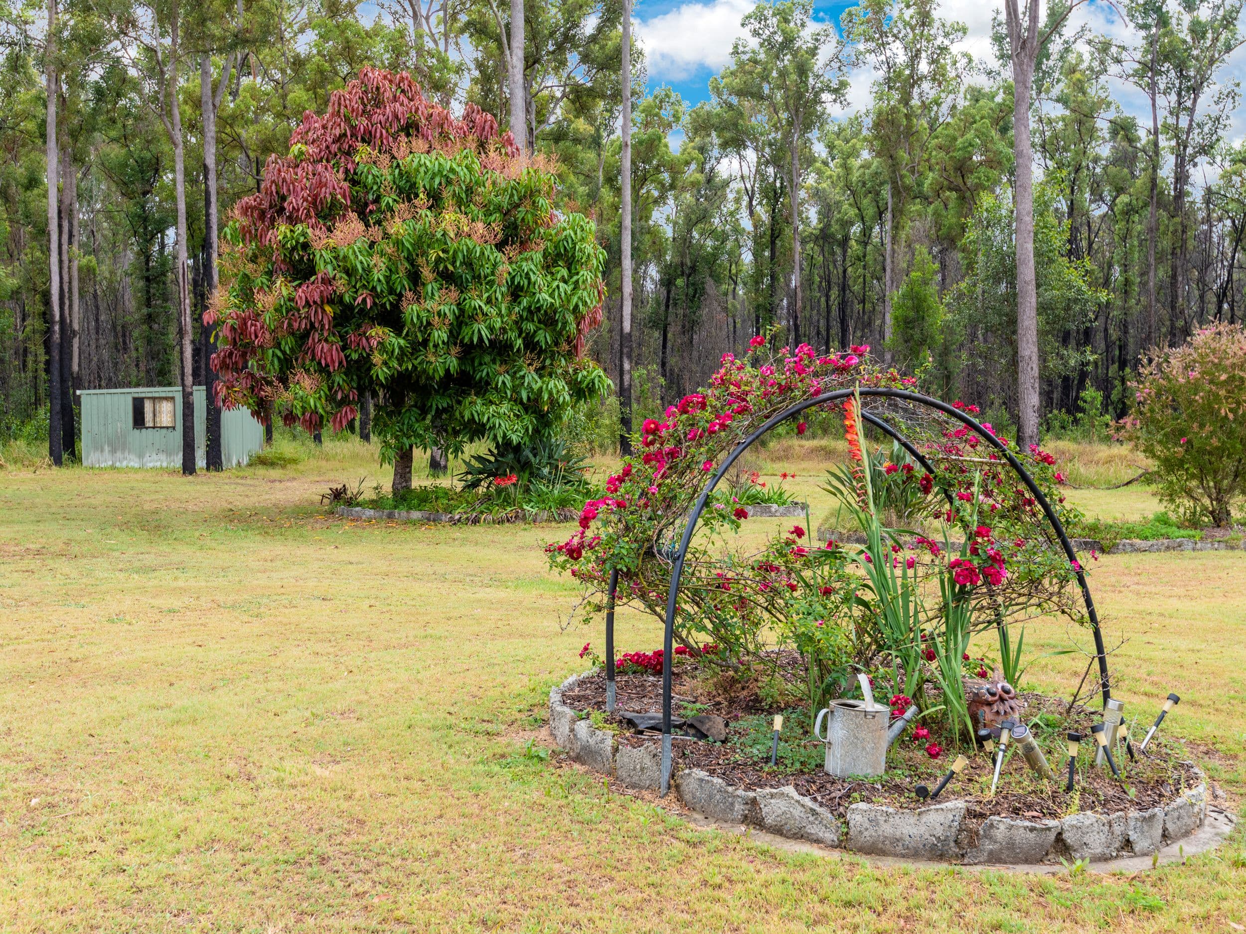 2465 Myall Creek Road, Bungawalbin NSW 2469, Bungawalbin - Thumbnail 6