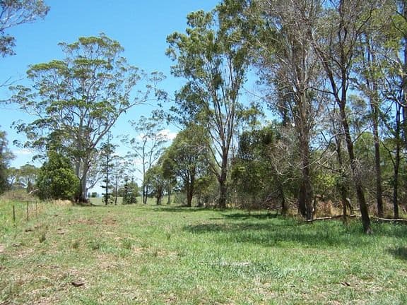 486 Tablelands Road, COORAN QLD 4569, Cooran - Thumbnail 2