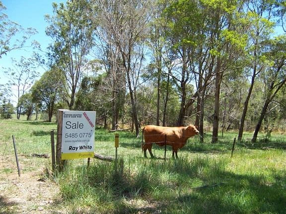 486 Tablelands Road, COORAN QLD 4569, Cooran - Thumbnail 4