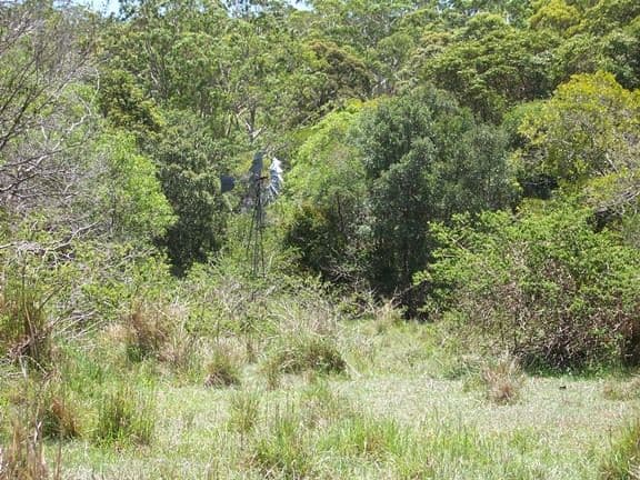 486 Tablelands Road, COORAN QLD 4569, Cooran - Thumbnail 7