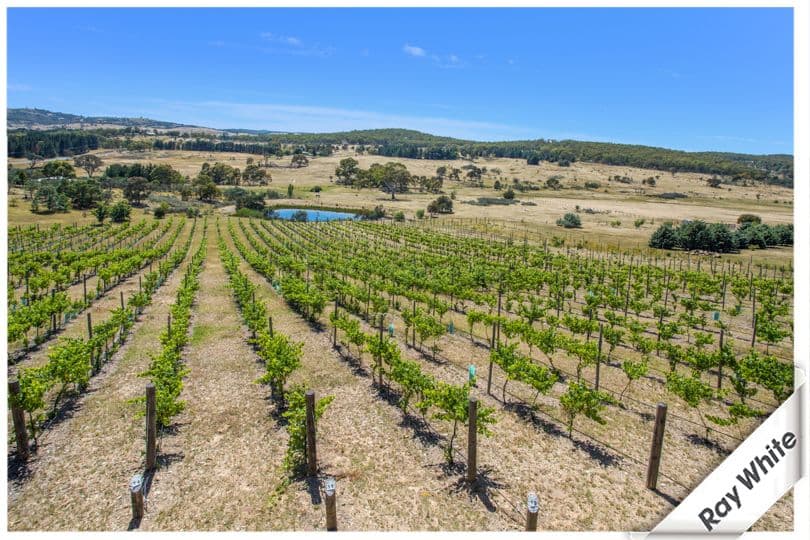 344 Norton Road, Wamboin - Image 1
