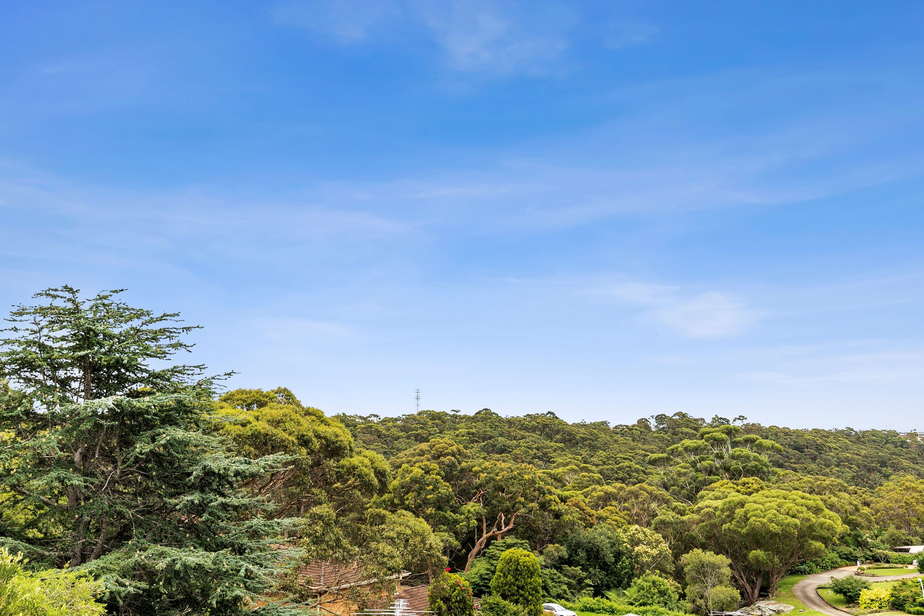 7 Yowan Close, Bangor NSW 2234, Bangor - Thumbnail 6