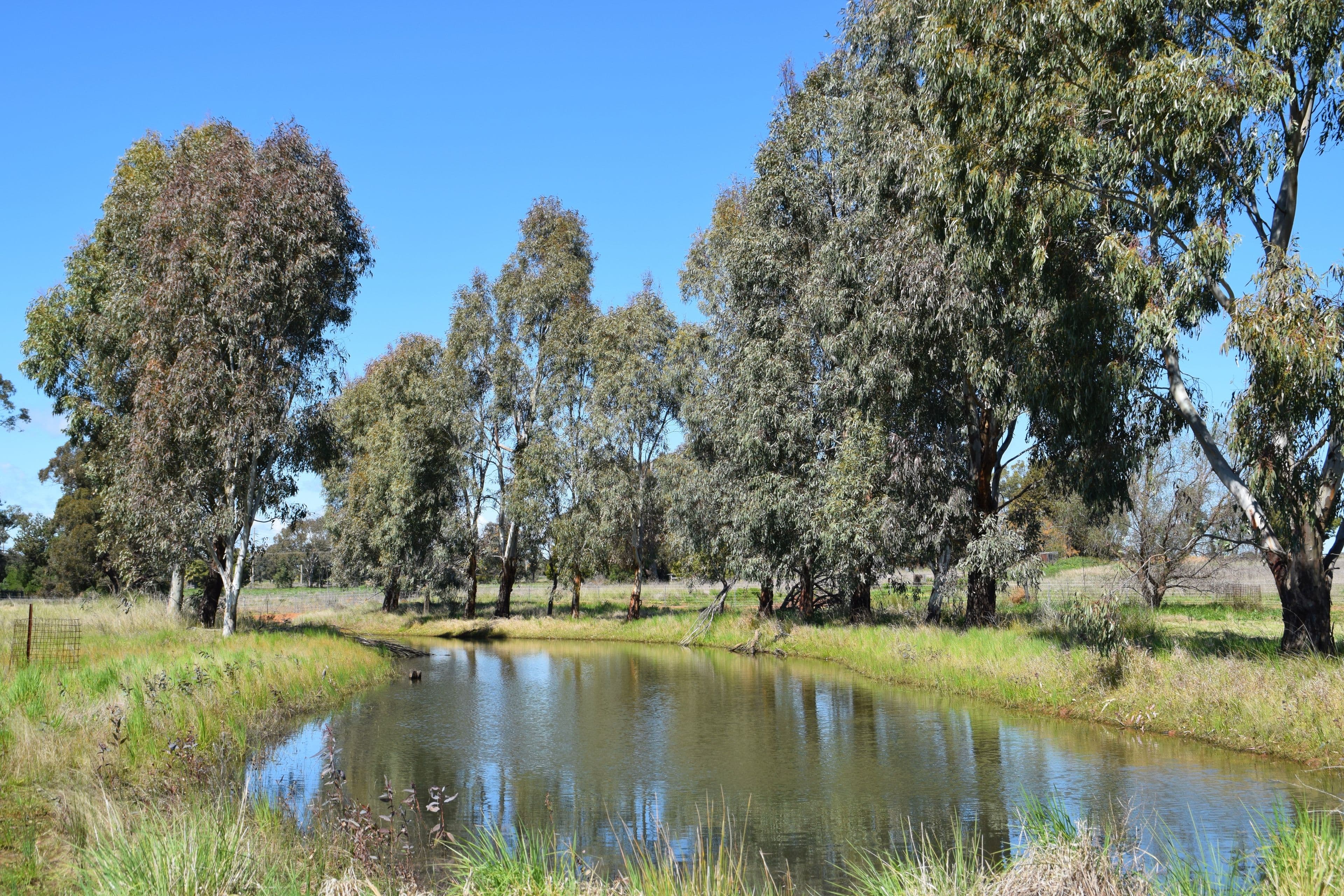 'The Park' Peachville Road, Dubbo NSW 2830, Dubbo - Thumbnail 8
