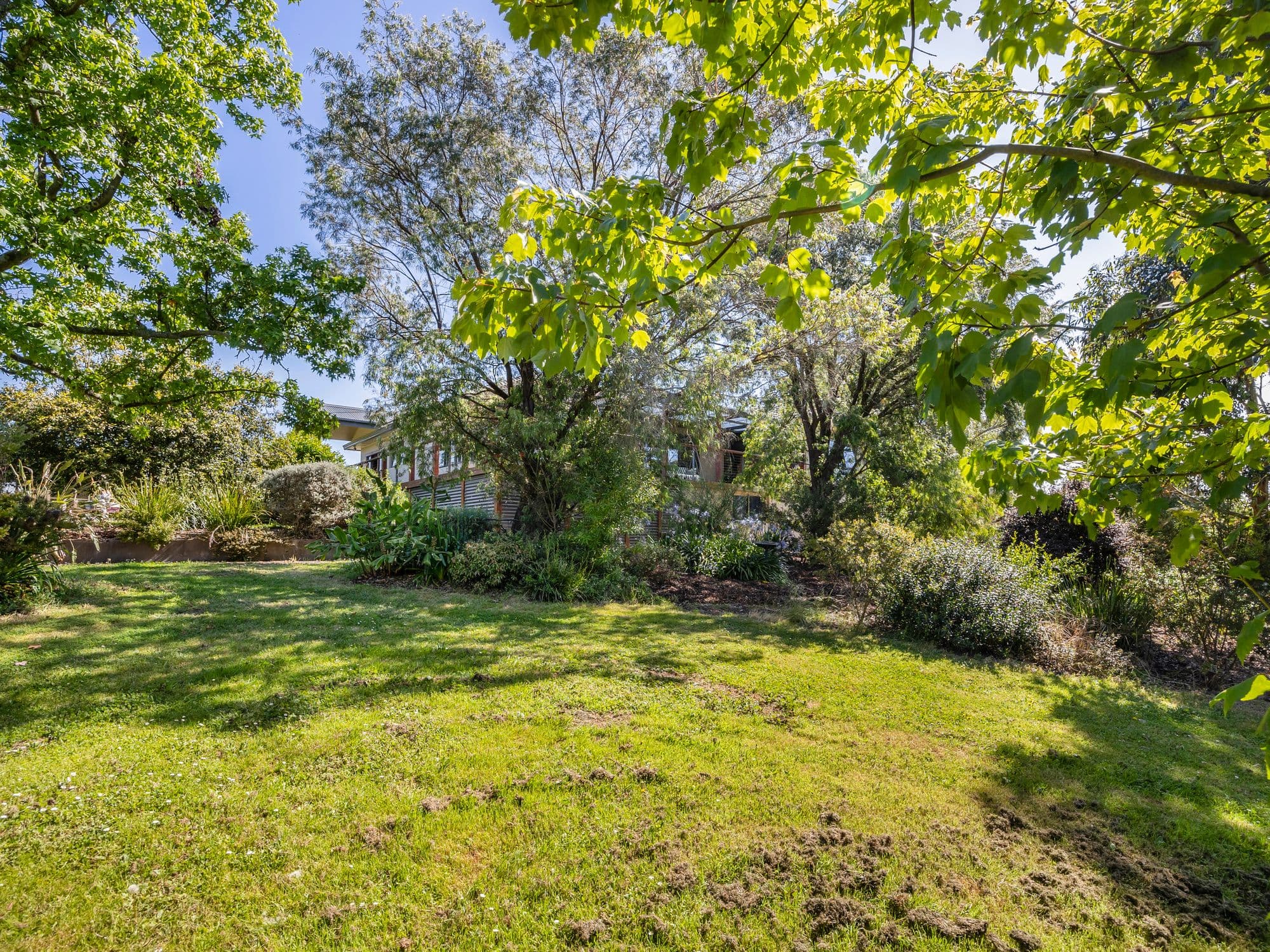 830 Nerrena Road, Nerrena VIC 3953, Nerrena - Thumbnail 3
