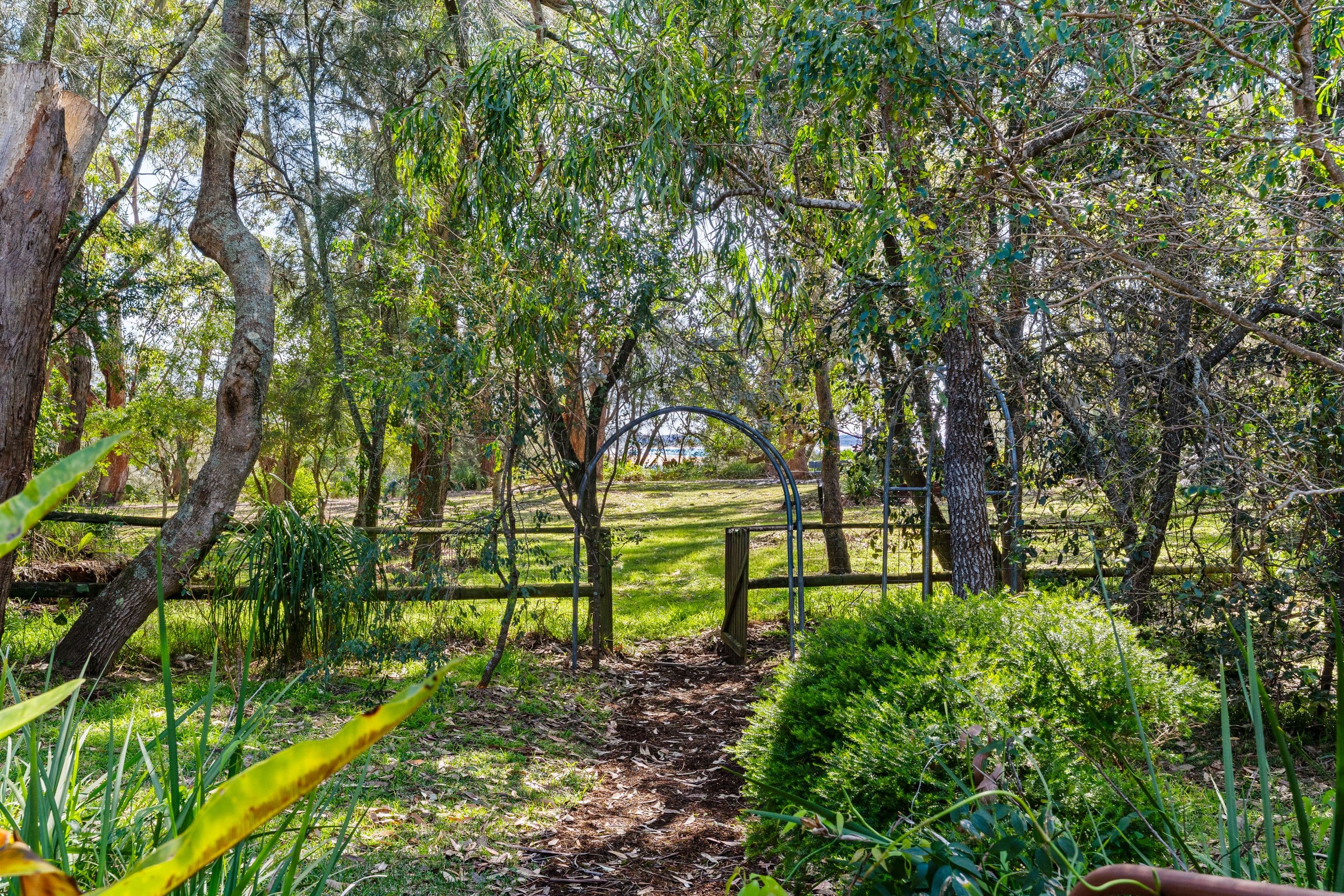 12 Macleay Street, Narrawallee NSW 2539, Narrawallee - Thumbnail 3