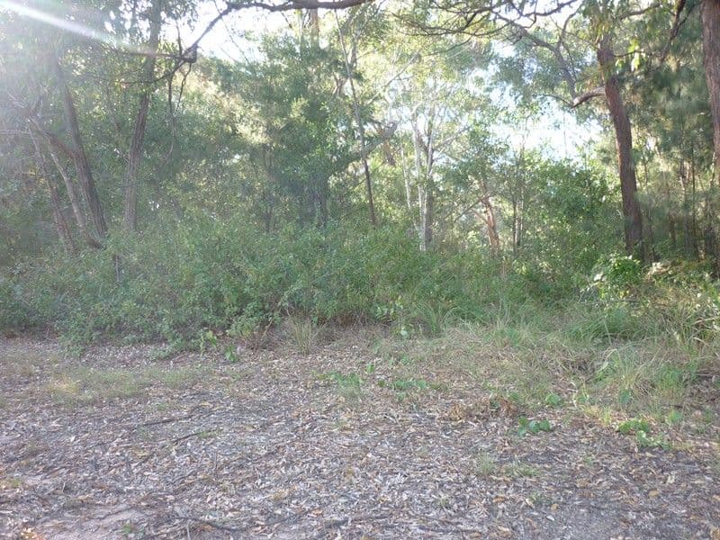 42 Villa Wood Road, RUSSELL ISLAND QLD 4184, Russell Island - Thumbnail 3