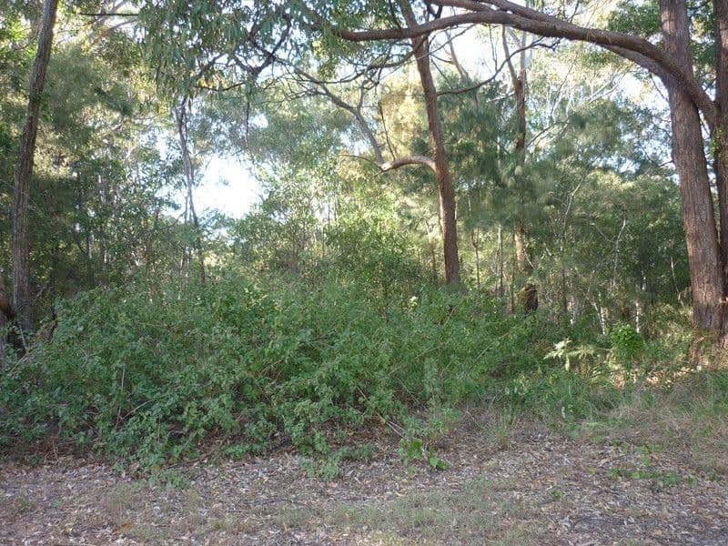 42 Villa Wood Road, RUSSELL ISLAND QLD 4184, Russell Island - Thumbnail 4
