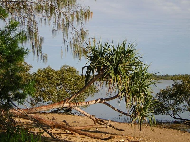 11/18 Seale Street, Fannie Bay, NT, 0820, Fannie Bay - Thumbnail 2