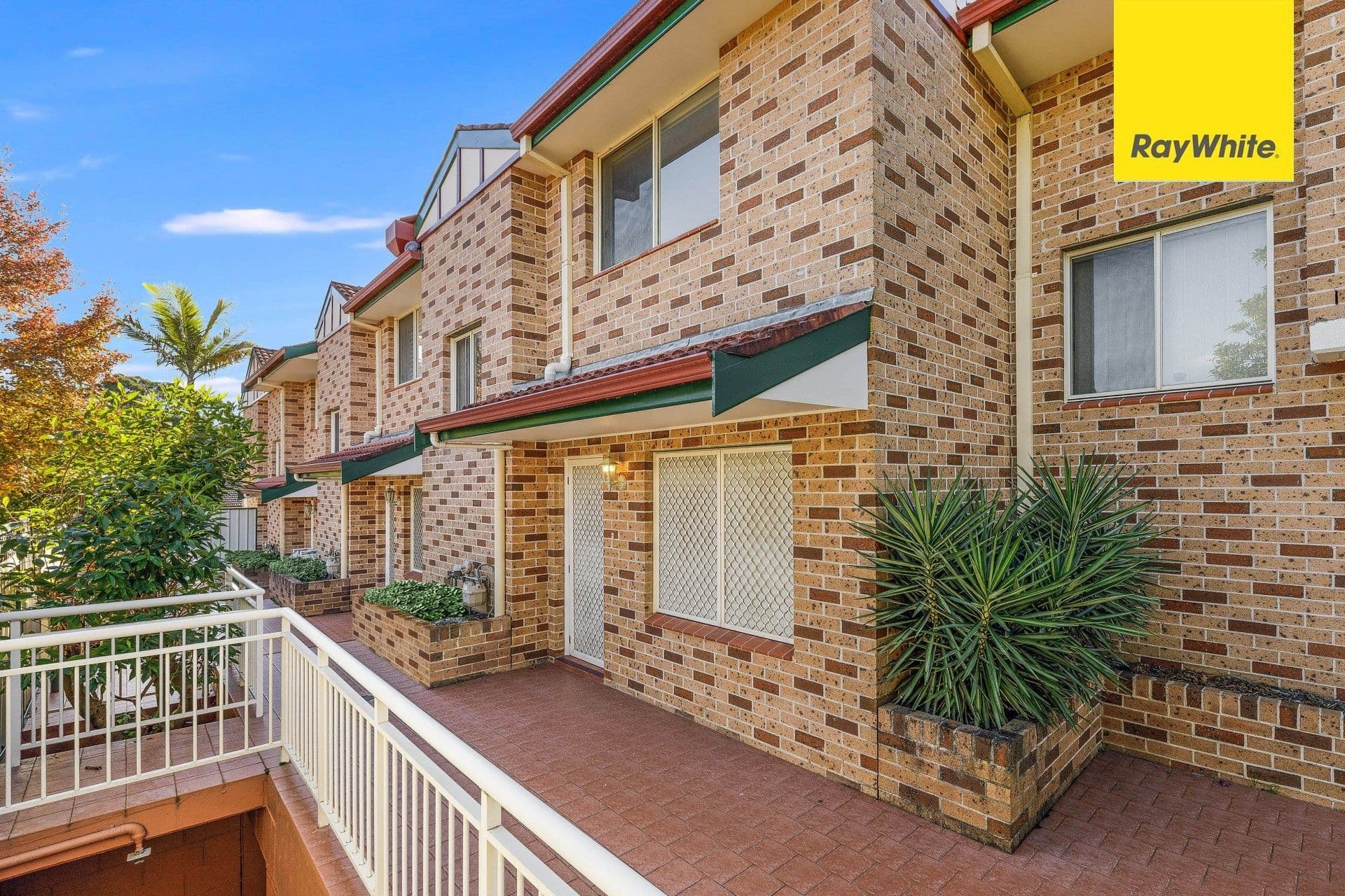 13 Graham Road, Narwee NSW 2209, Narwee - Thumbnail 7