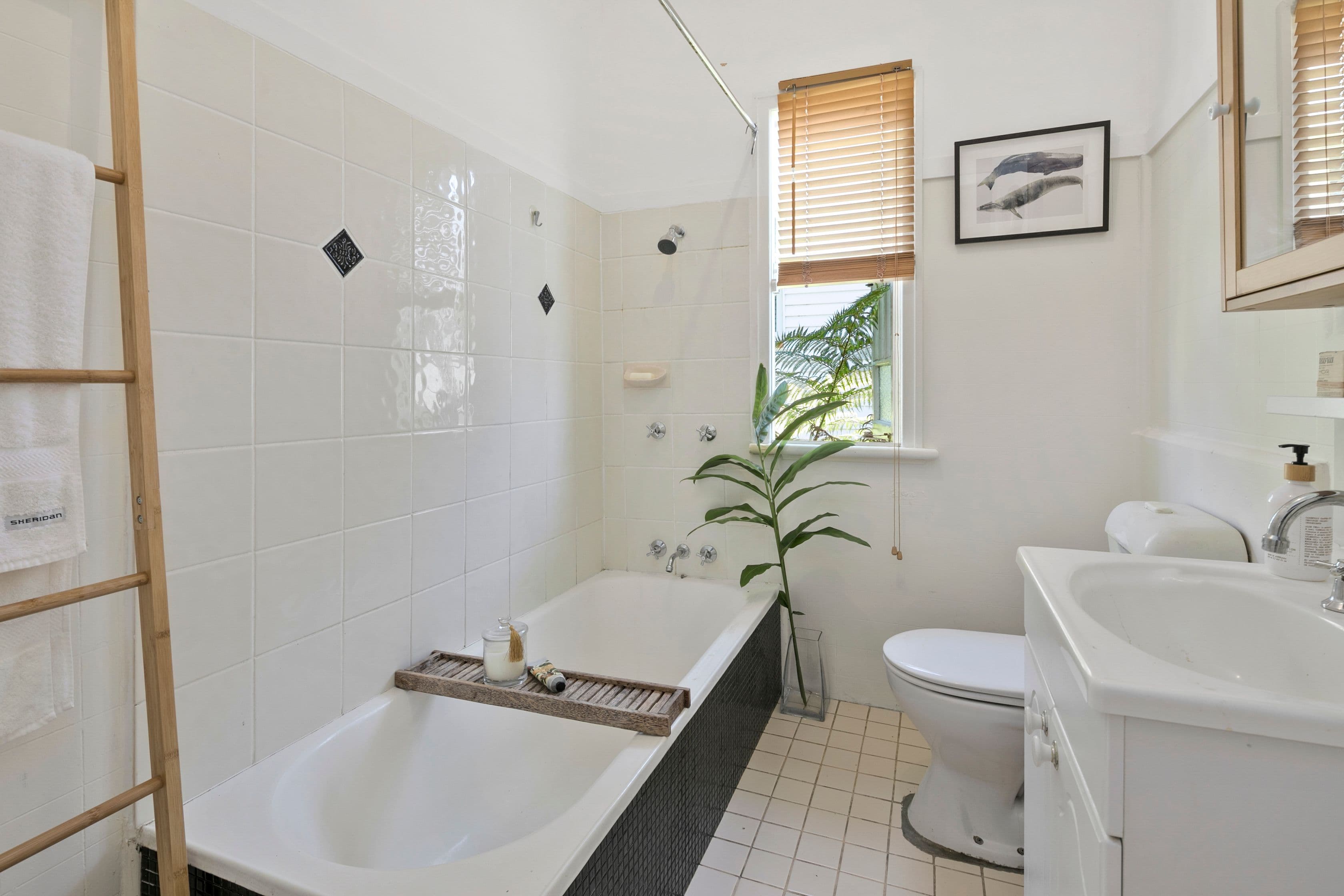 32 Beatrice Street, Hawthorne QLD 4171, Hawthorne - Thumbnail 6