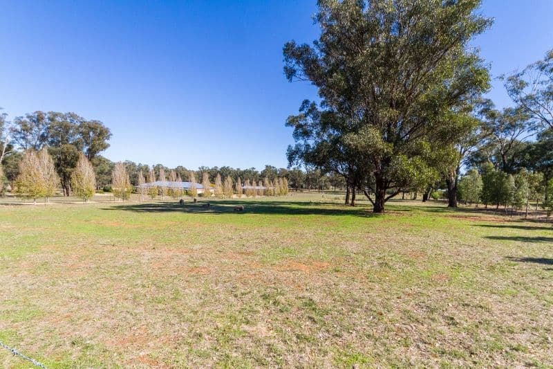 177 Camp Road, Cowra - Thumbnail 5