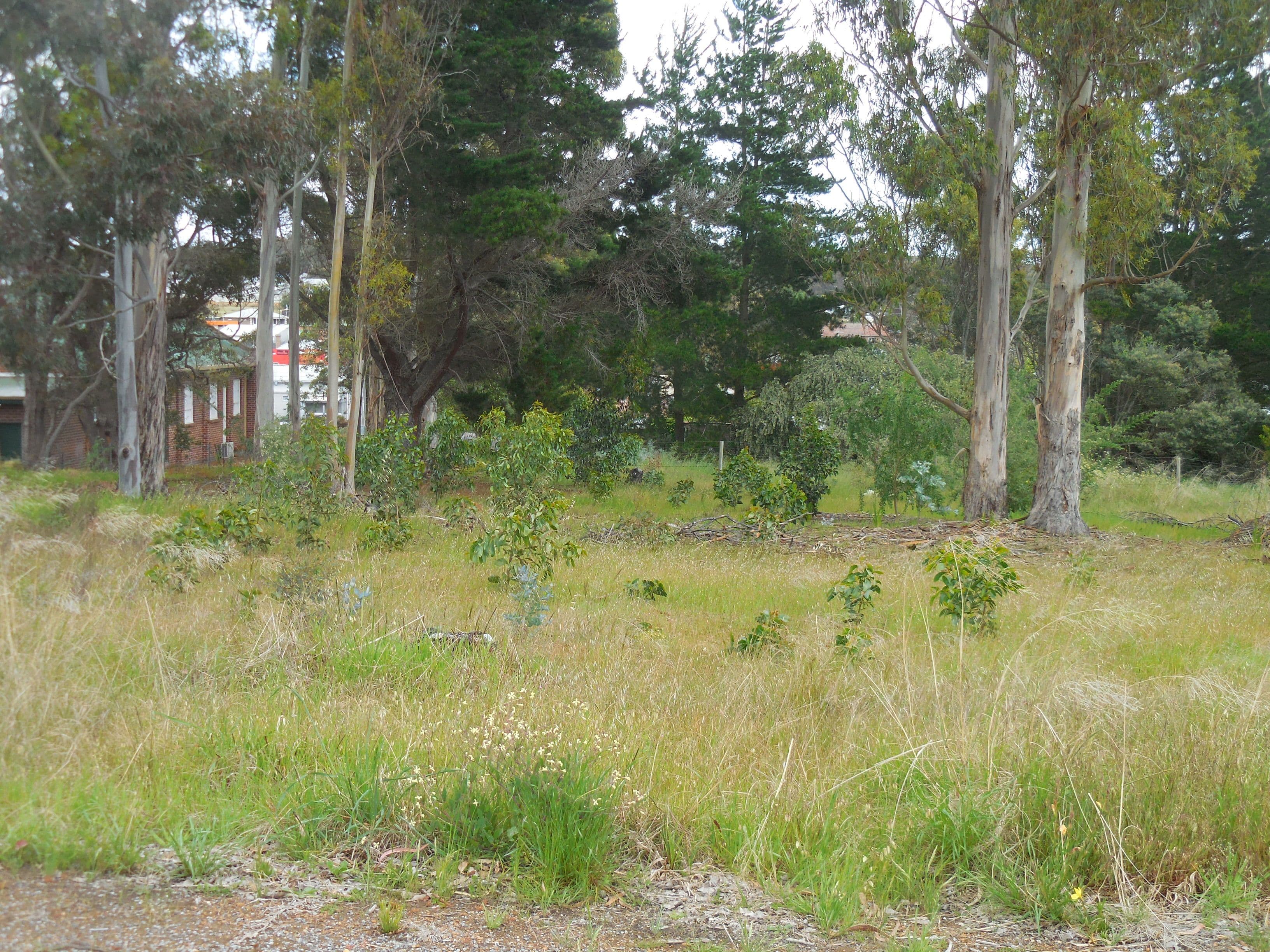 36 Albany Highway, Mount Barker WA 6324, Mount Barker - Thumbnail 3