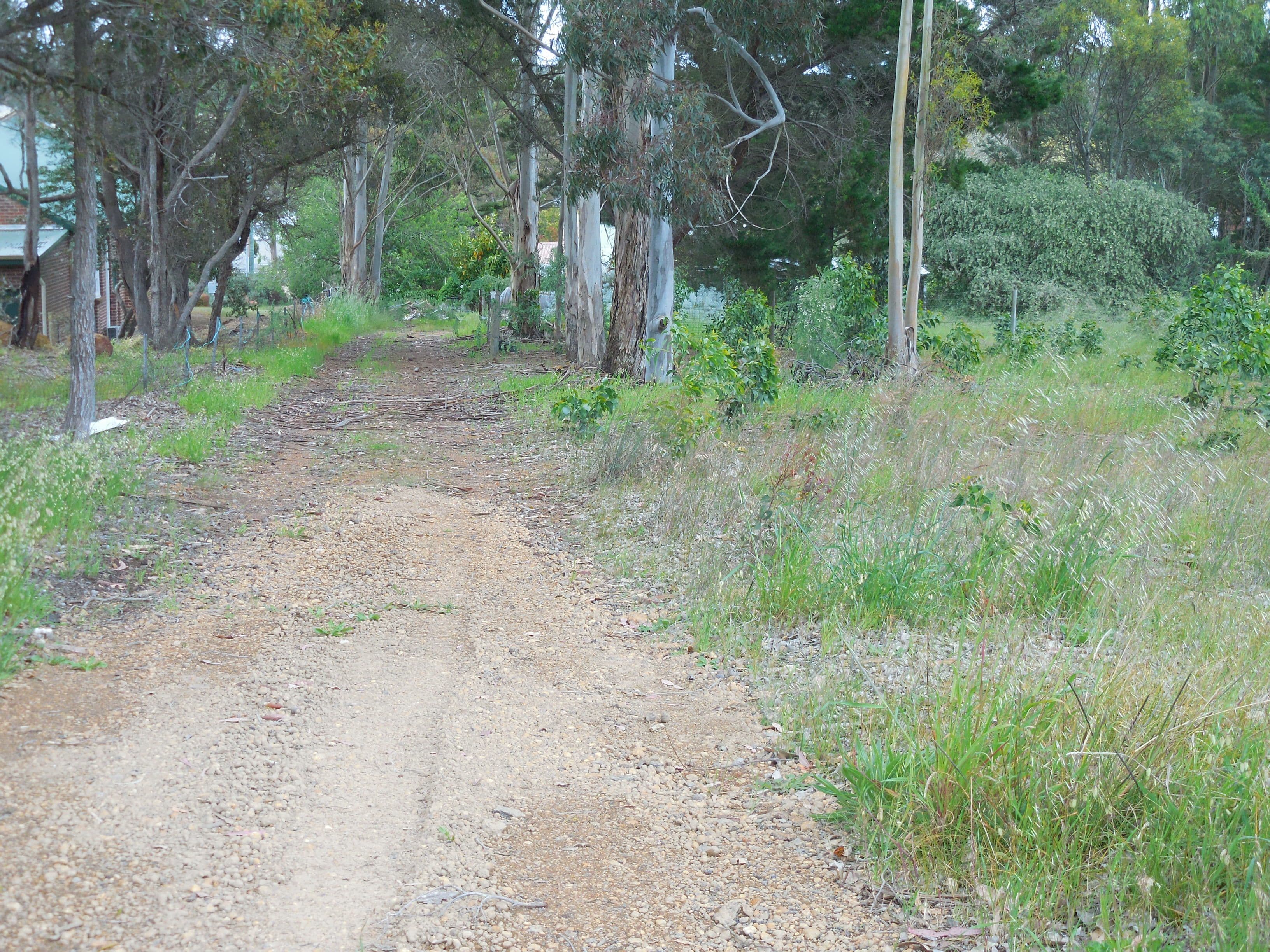36 Albany Highway, Mount Barker WA 6324, Mount Barker - Thumbnail 4