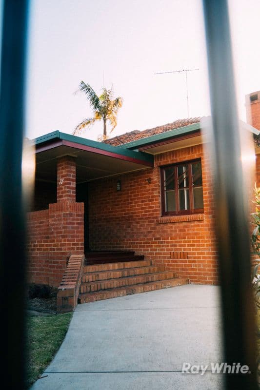 71 Breimba Street, Grafton - Thumbnail 4