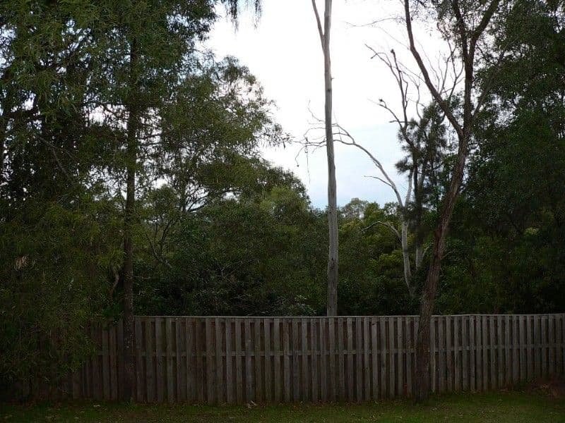 92A Rivermeadows Drive, UPPER COOMERA QLD 4209, Upper Coomera - Thumbnail 7