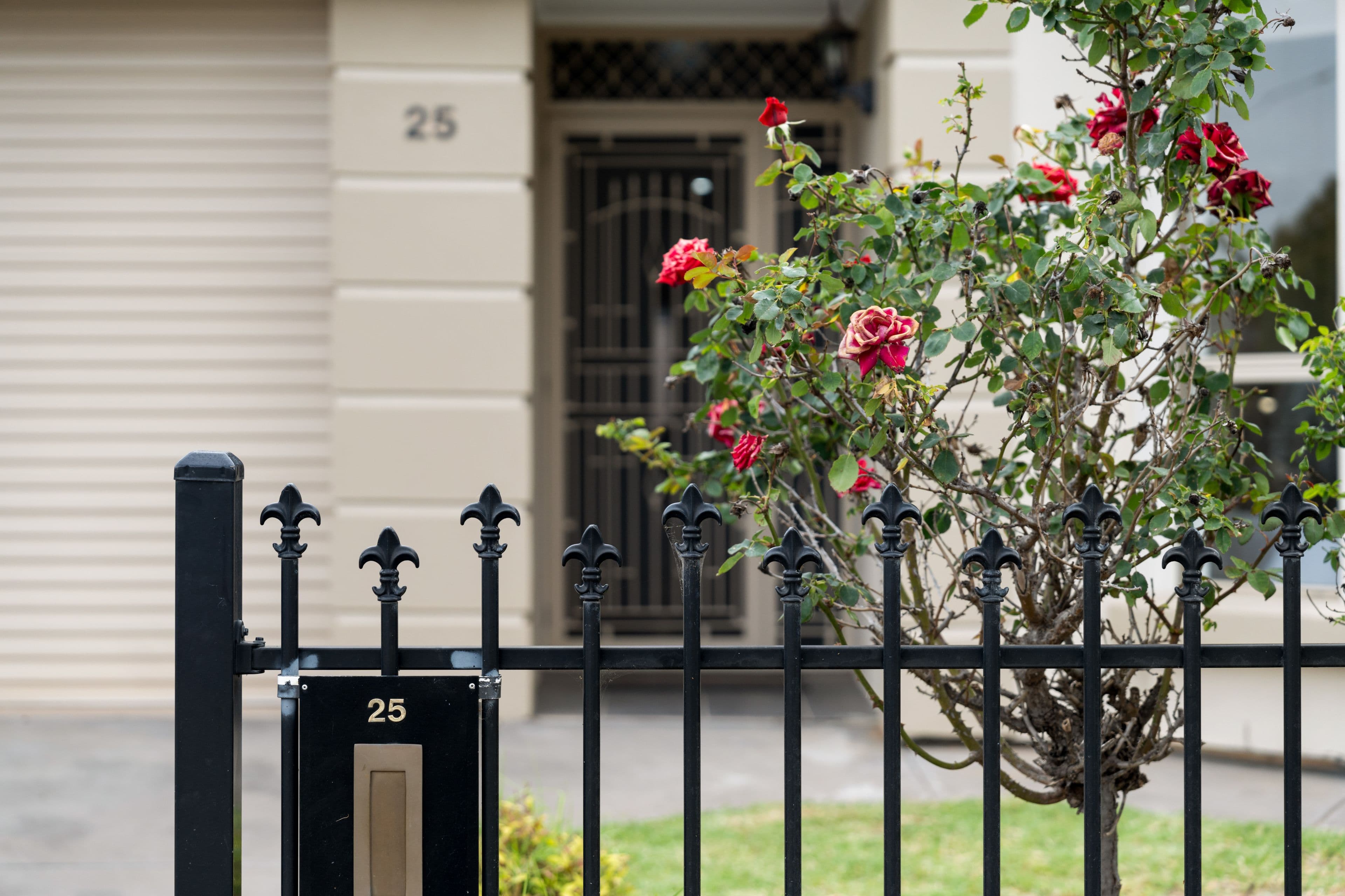 25 Blenheim Street, Angle Park SA 5010, Angle Park - Thumbnail 2