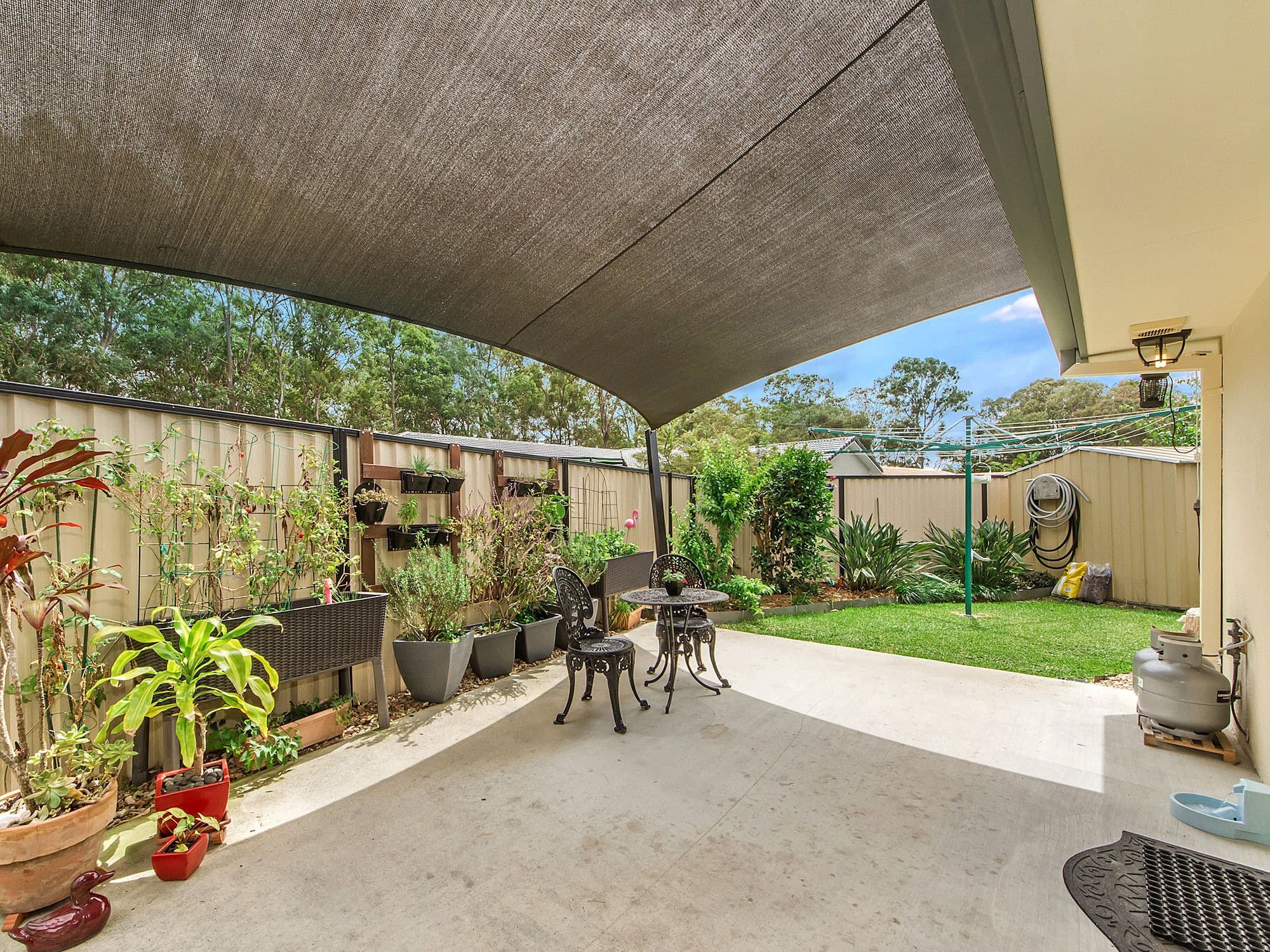 50 Kingaroy Avenue, Helensvale QLD 4212, Helensvale - Thumbnail 4