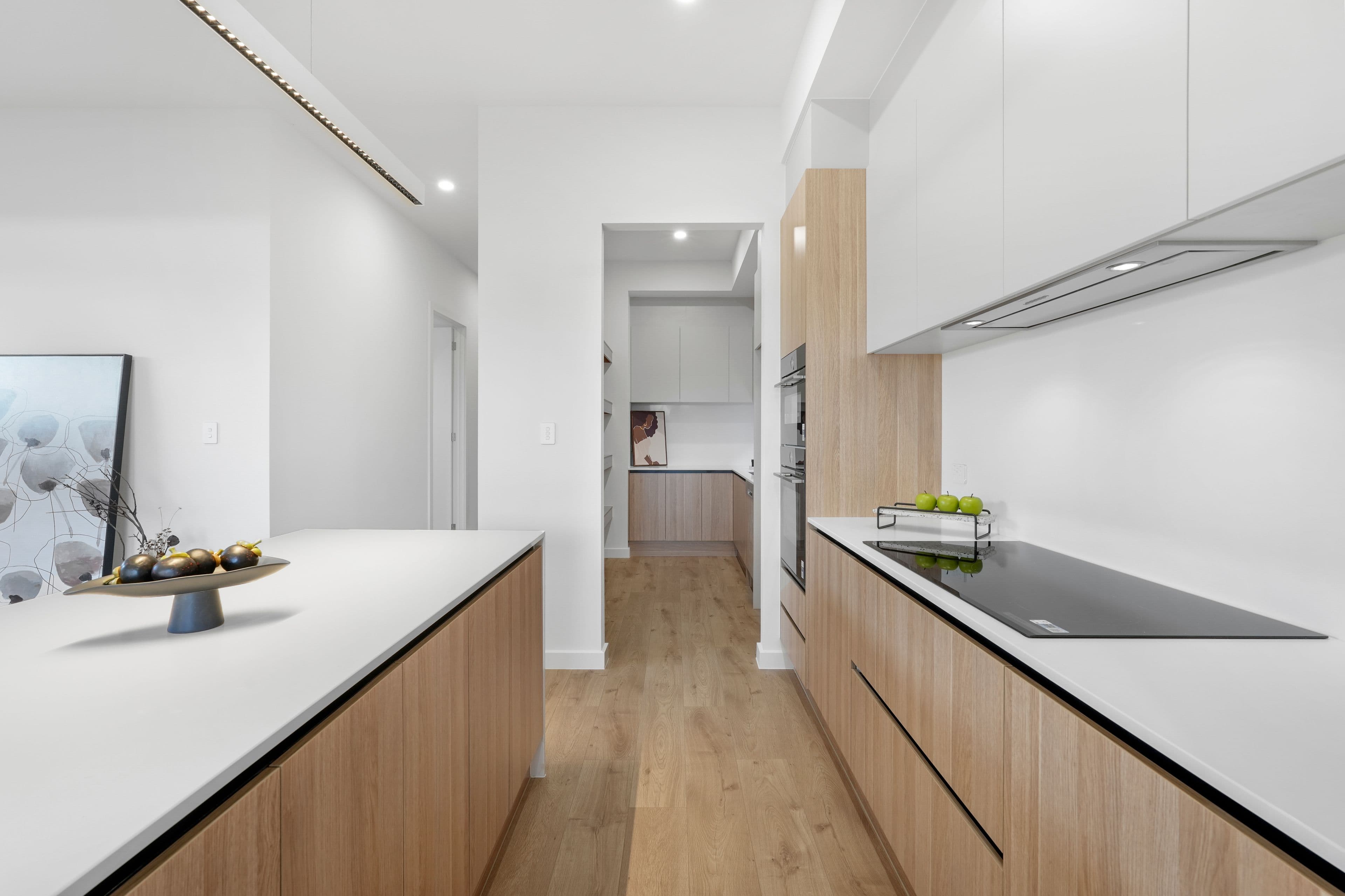 19 York Avenue East, Fulham Gardens SA 5024, Fulham Gardens - Thumbnail 8