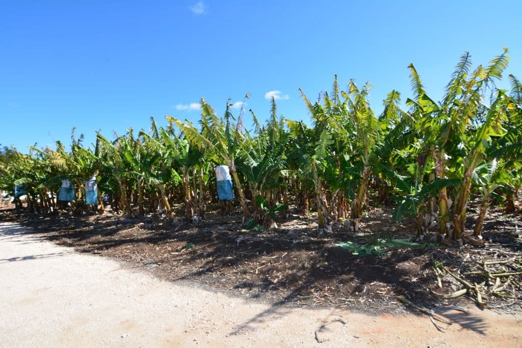 208 South River Road, Carnarvon WA 6701, Carnarvon - Thumbnail 6